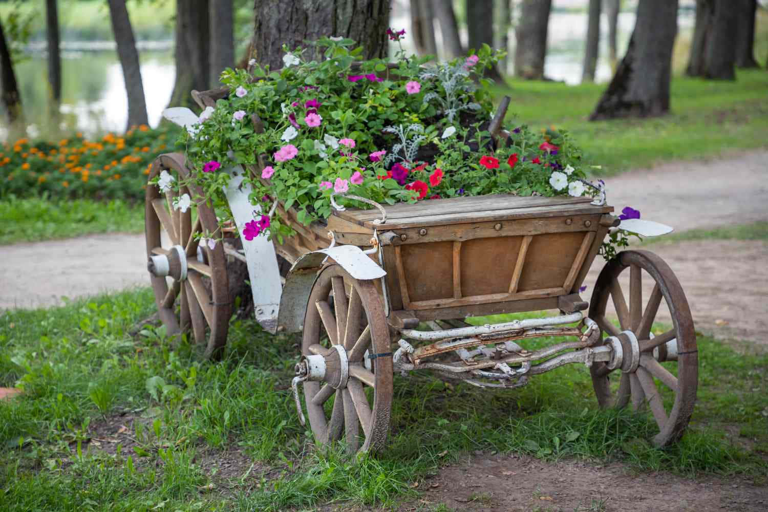 Flower Cart 桌布 壁紙 — 一架飽經風霜的木製手推車，裝滿了鮮豔的粉紅色、白色和紅色花朵，放在寧靜湖泊旁的草地上。