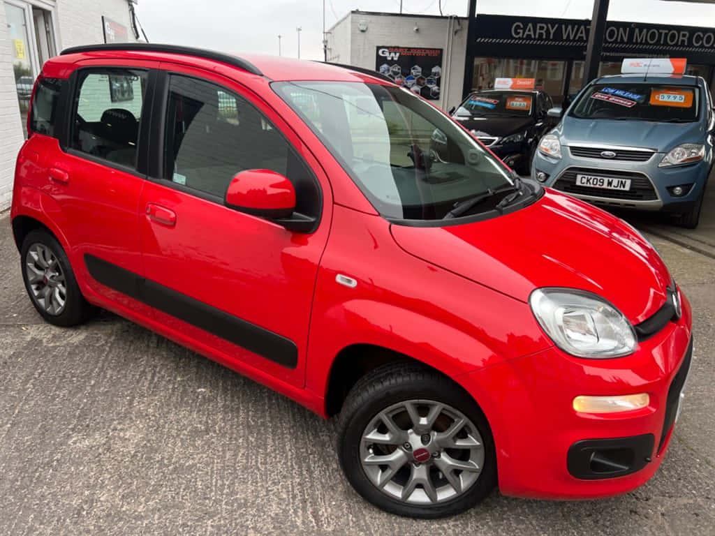 Fiat Panda 桌布 壁紙 — 一架鮮紅色嘅Fiat Panda停泊喺碎石停車場，背景有其他汽車同埋一間汽車經銷商。