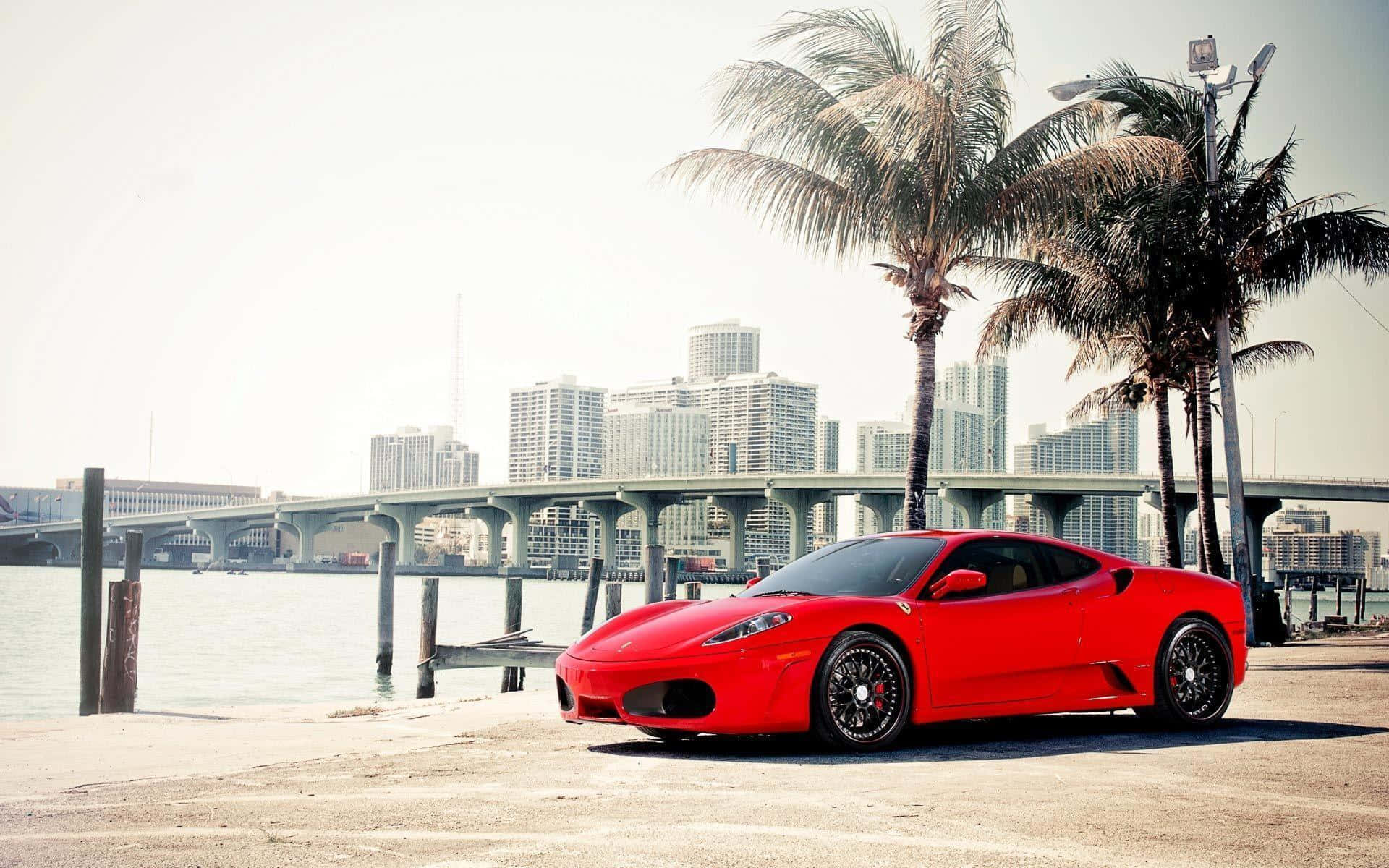 Ferrari F430 桌布 壁紙 — 一架鮮紅色法拉利跑車停泊在海濱碼頭，背景有棕櫚樹和城市天際線。