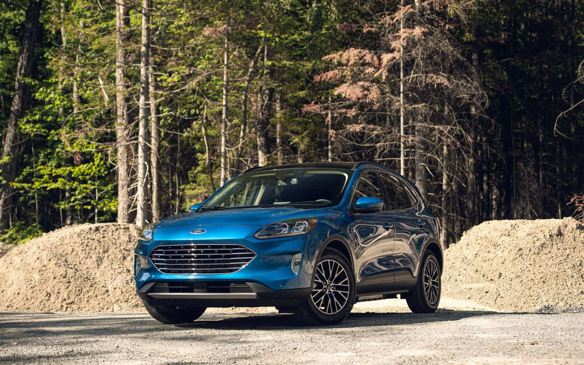 Ford Escape 桌布 壁紙 — 一架鮮藍色福特SUV停泊在森林中兩旁長滿高大綠色和棕色樹木的碎石路上。