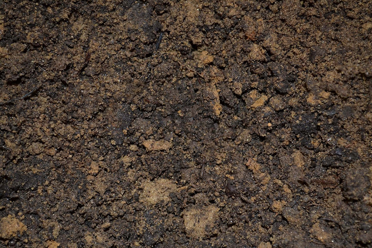 深棕色土壤的特寫，帶有有機碎屑和不同的質地。