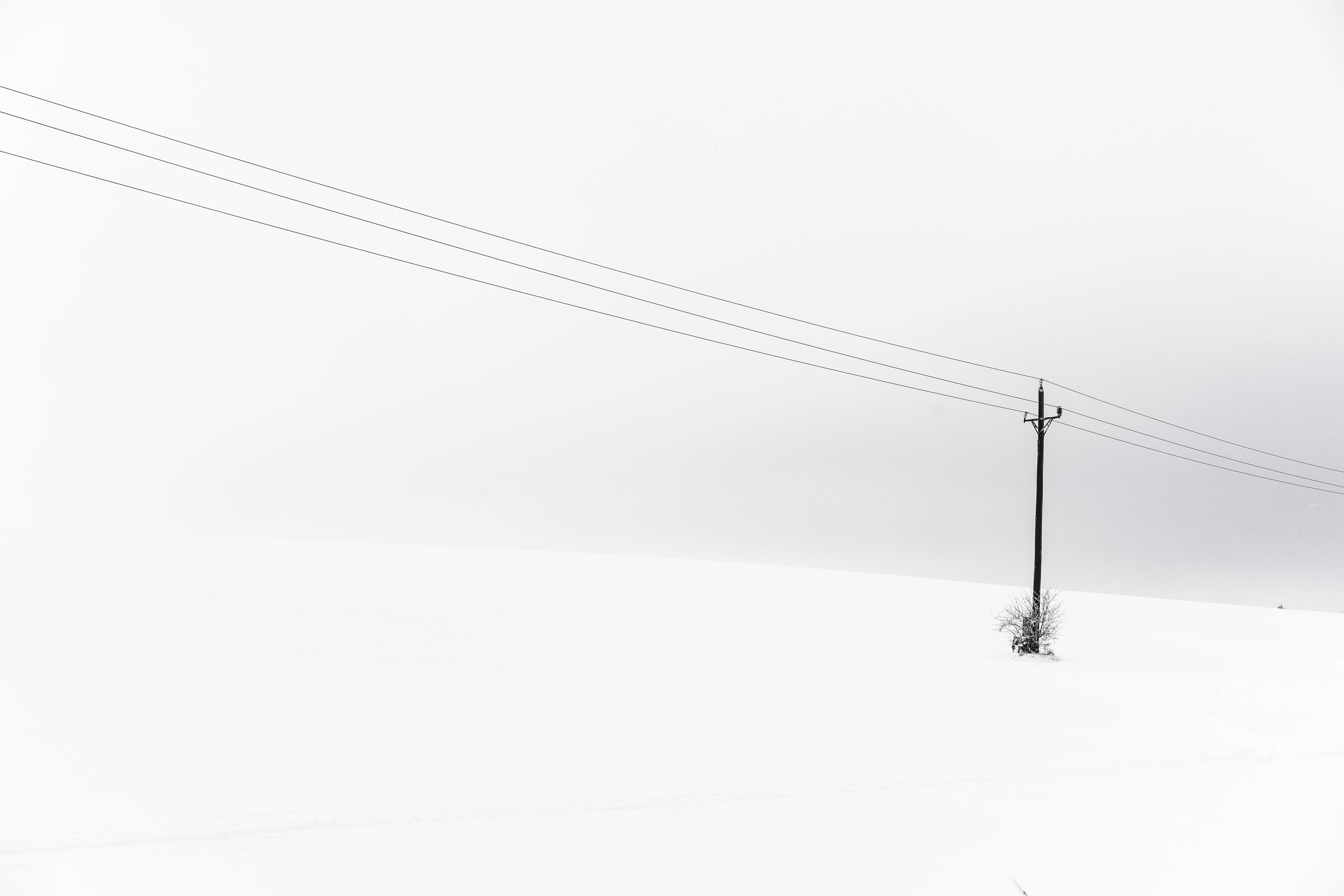 簡約美學桌面 桌布 壁紙 — 一根孤獨的電線杆矗立在廣闊的雪地上，天空陰沉，電線橫跨畫面。