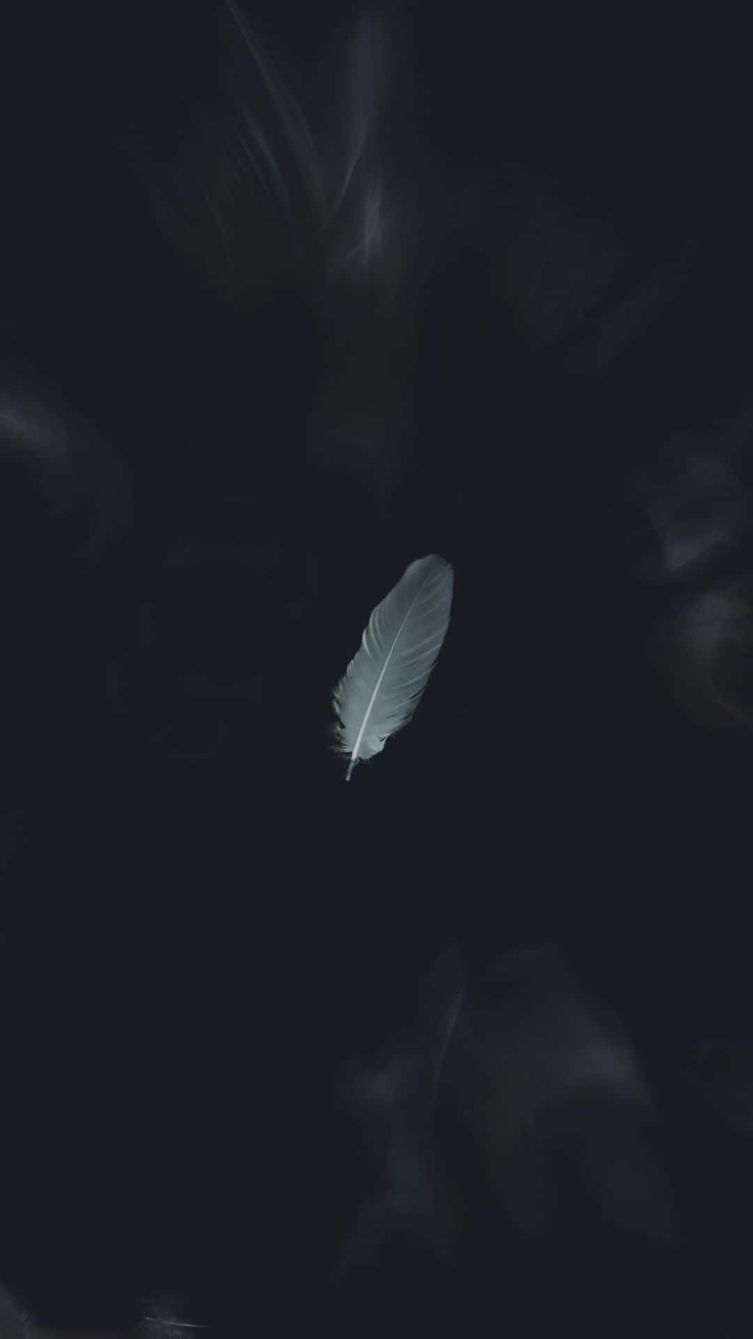 黑白美學 桌布 壁紙 — 一根淡色羽毛在帶有柔和煙霧質感的深黑色背景上靜靜漂浮。