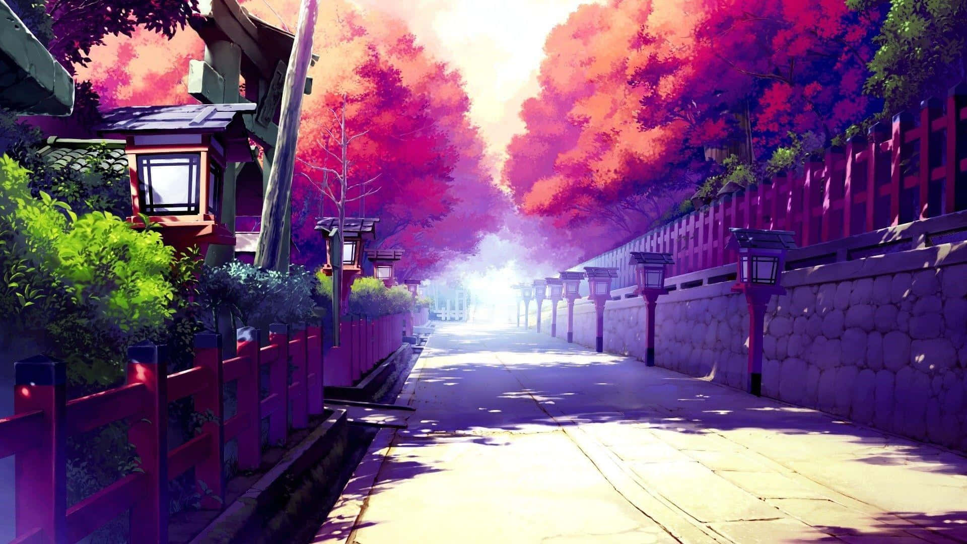 Purple Anime 桌布 壁紙 — 一條充滿活力的動漫風格小徑，兩旁掛滿紅色燈籠和火紅的秋樹，沐浴在金色的日落光芒中。