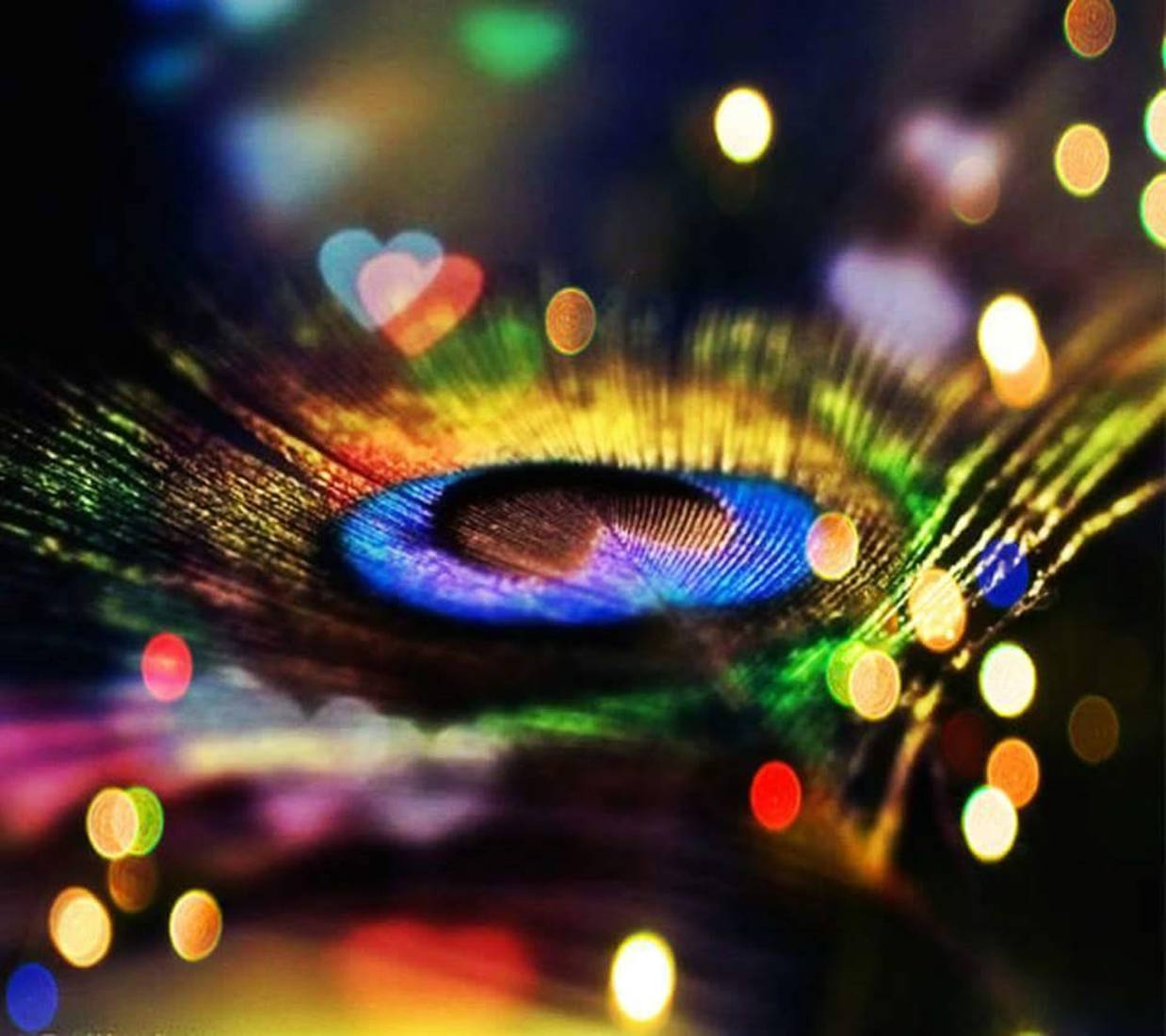 Bokeh 桌布 壁紙 — 一條充滿活力的孔雀羽毛，帶有虹彩藍綠色和金色色調，在彩色燈光的散景背景下閃耀。
