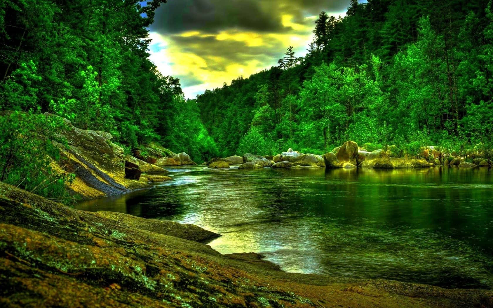 Beautiful Forest 桌布 壁紙 — 一條充滿活力的綠色河流蜿蜒穿過茂密的森林，上方是戲劇性的黃灰色天空。