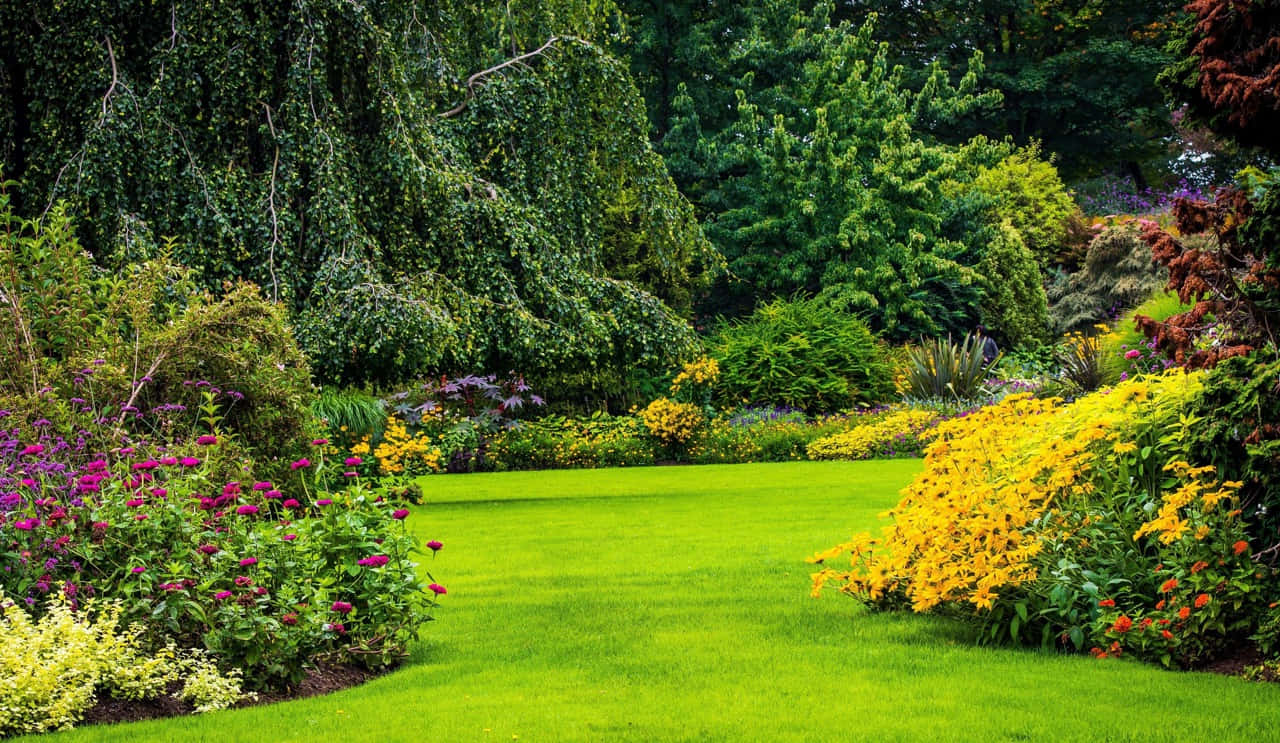 Garden Design 桌布 壁紙 — 一條充滿活力的花園小徑蜿蜒穿過茂密的綠草，兩旁是色彩繽紛的花壇，上方是茂密的樹冠。