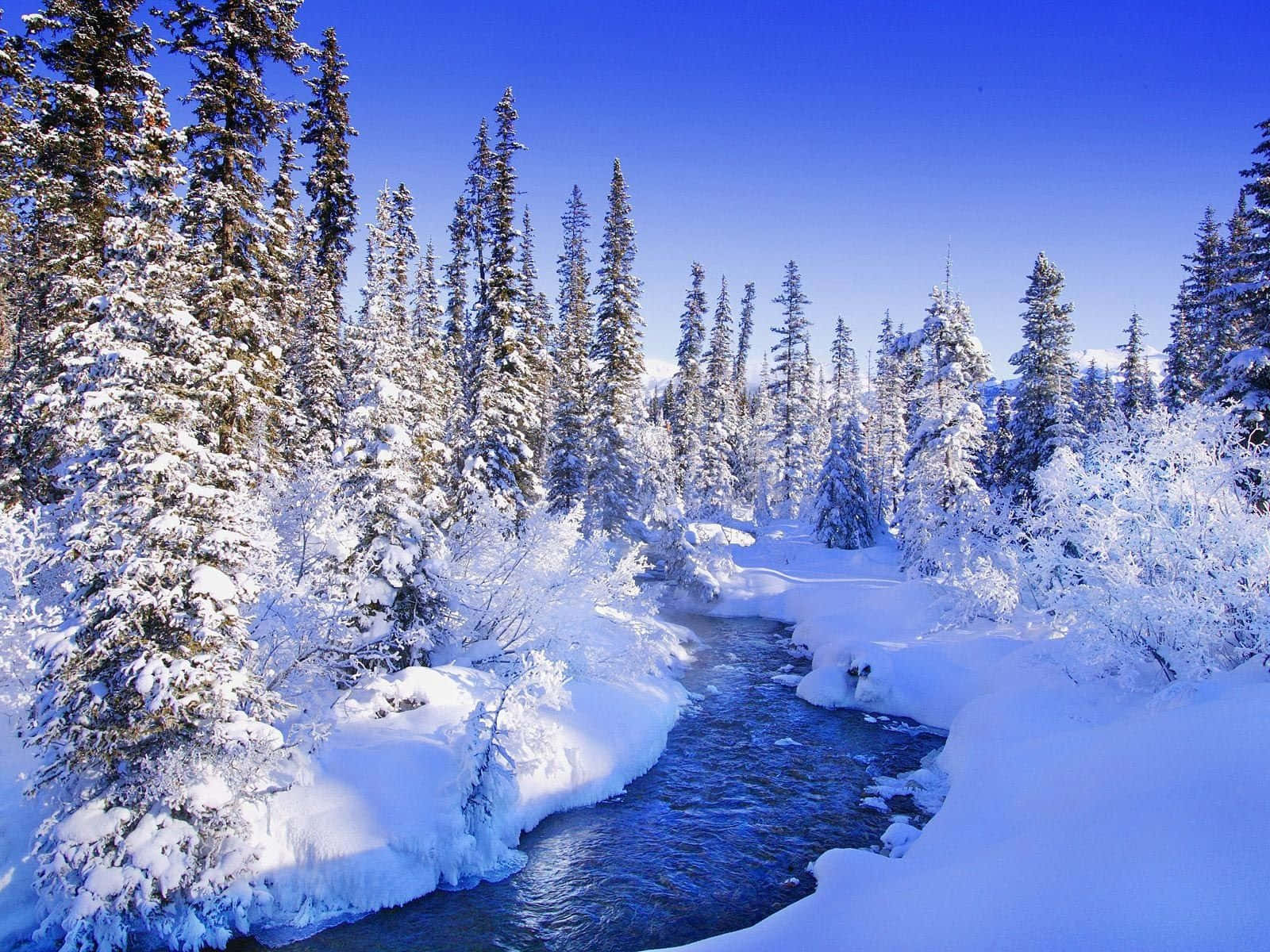 Winter Trees 桌布 壁紙 — 一條充滿活力的藍色河流蜿蜒穿過白雪覆蓋的森林，在晴朗的冬日天空下。