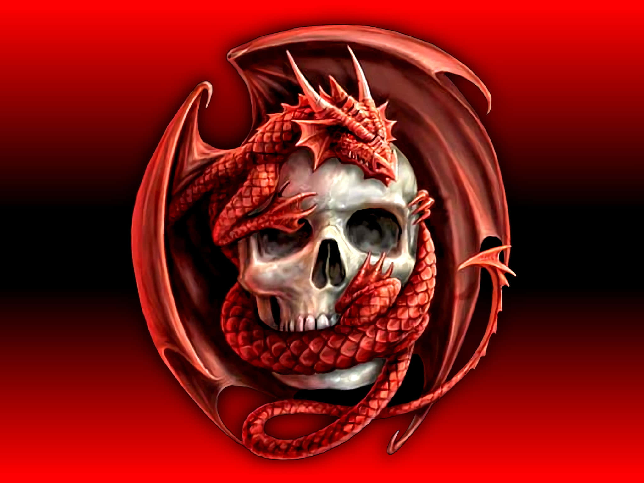 skulls 桌布 壁紙 — 一條兇猛的紅龍纏繞著一個銀色頭骨，背景是紅黑漸變色。