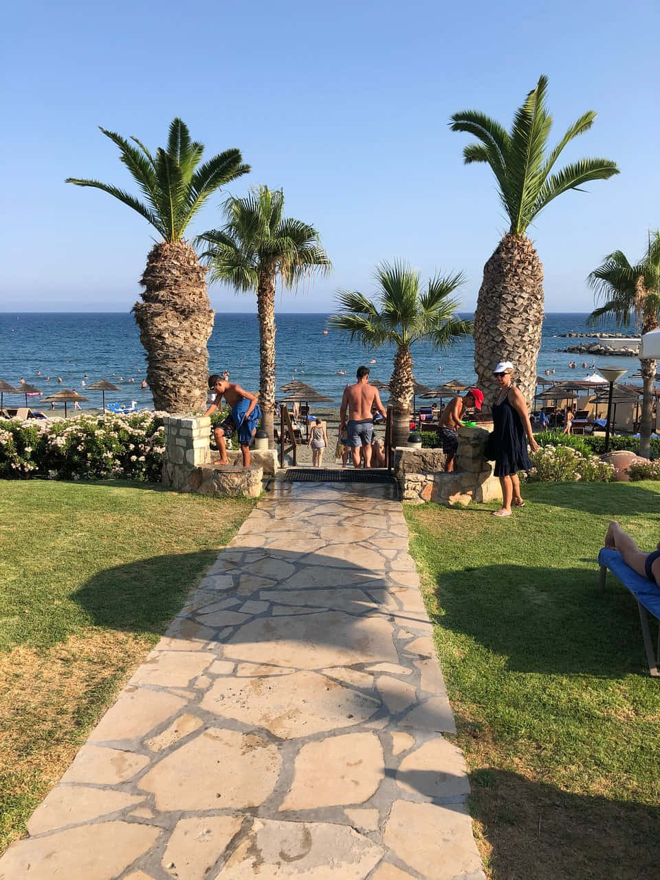 Mediterranean Beach 桌布 壁紙 — 一條兩旁種滿棕櫚樹的石徑通往陽光明媚的海灘，人們在清澈的藍天下放鬆和游泳。