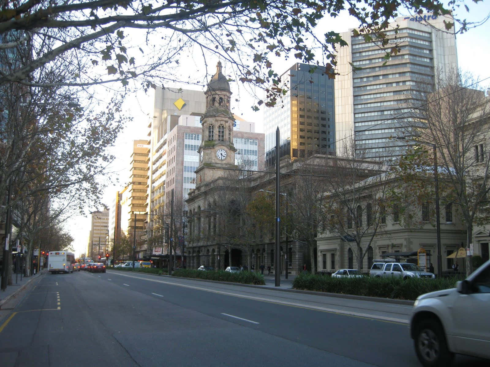 Adelaide 桌布 壁紙 — 一條城市街道，兩旁種滿秋樹，歷史悠久的鐘樓旁邊是現代玻璃摩天大樓，在柔和日光下。
