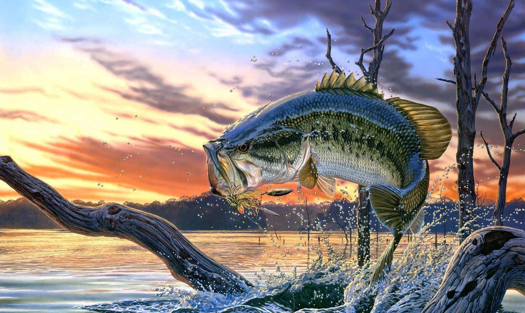 釣魚 桌布 壁紙 — 一條大鱸魚從寧靜的湖泊中躍起，夕陽下濺起水花，光禿禿的樹木在火紅的天空襯托下形成剪影。