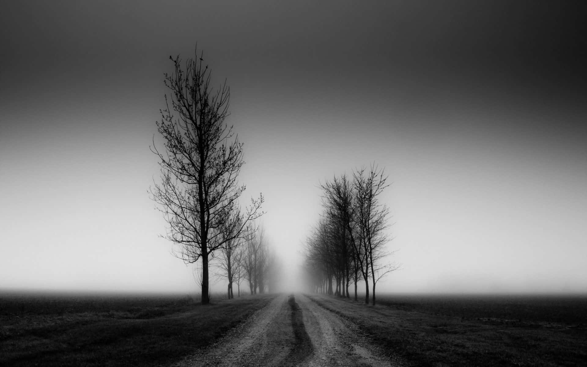 Black And White Landscape 桌布 壁紙 — 一條孤獨的泥路延伸入灰濛濛的迷霧中，兩旁是光禿禿的樹木，構成單色調的嚴峻景觀。