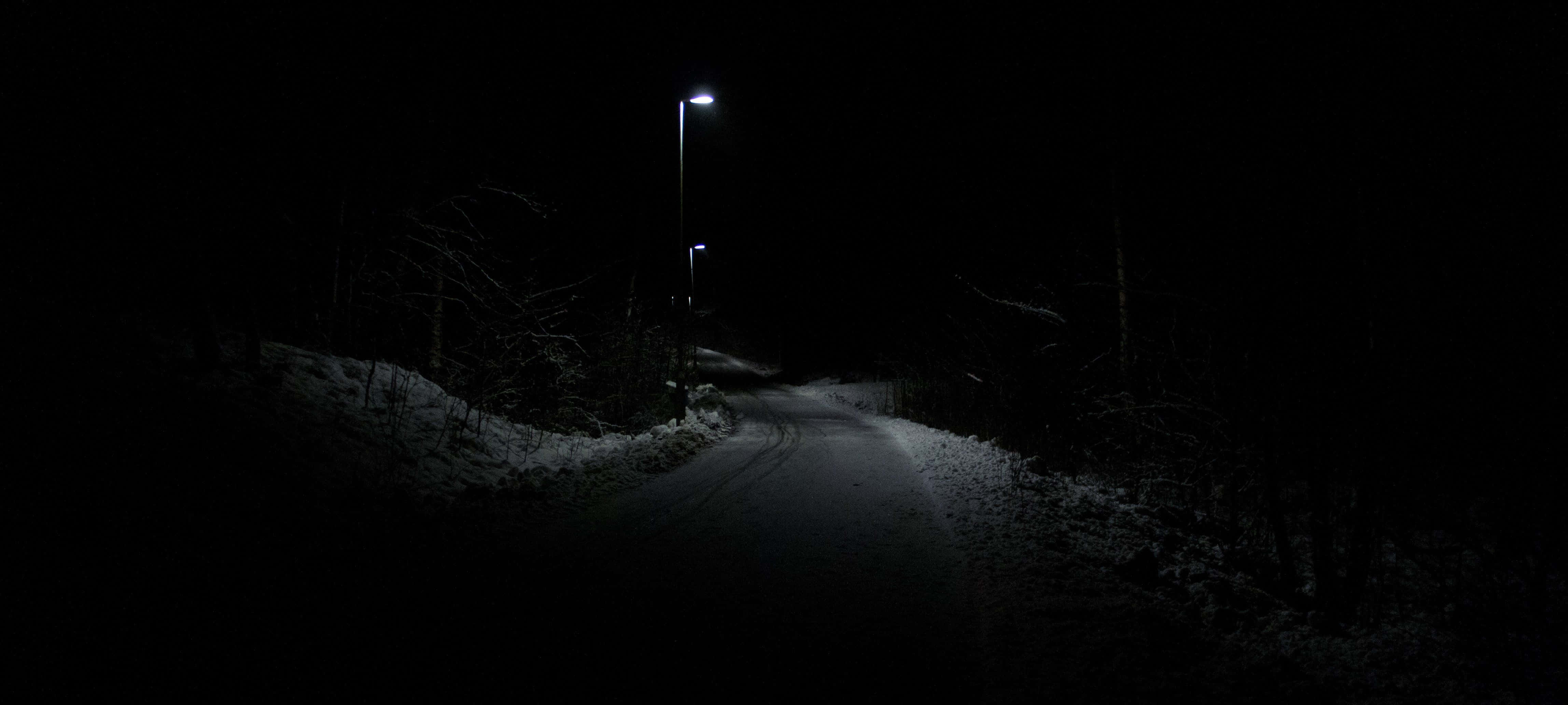 Dark Road 桌布 壁紙 — 一條孤獨的雪路蜿蜒穿過黑暗的冬季森林，被遠處街燈的冷光所照亮。