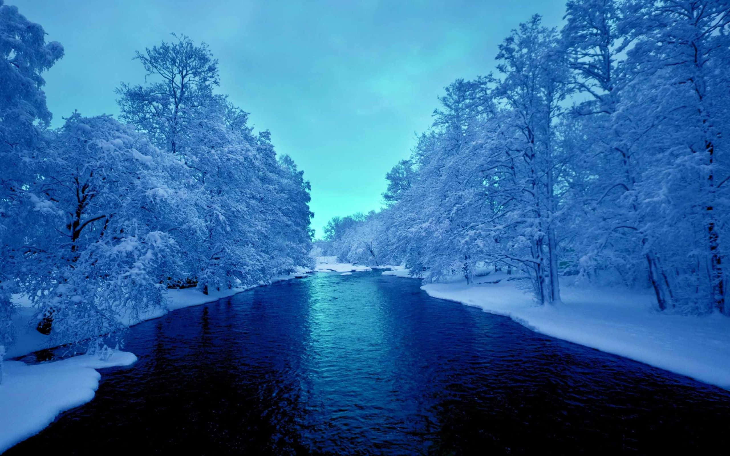 Winter Blues 桌布 壁紙 — 一條寧靜的冬日河流在寒冷的藍色暮色天空下流過白雪覆蓋的樹木。