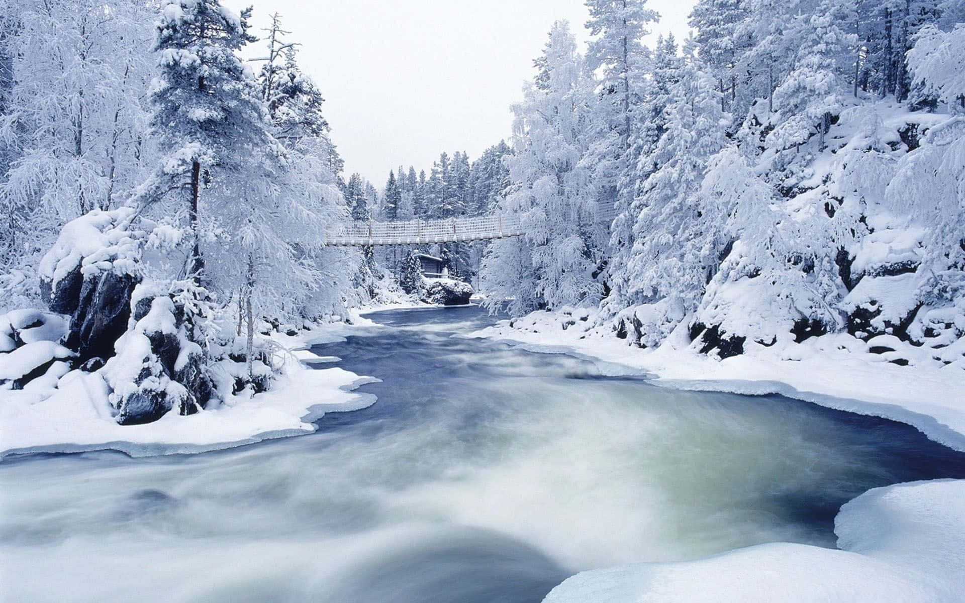 Winter Christmas 桌布 壁紙 — 一條寧靜的冬日河流在白雪覆蓋的橋下流淌，周圍是結霜的常青樹。