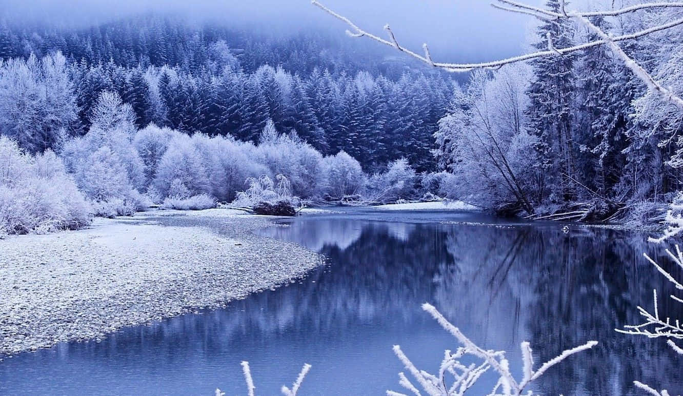 Beautiful Winter 桌布 壁紙 — 一條寧靜的冬日河流蜿蜒穿過霜凍覆蓋的森林，天空迷濛湛藍。