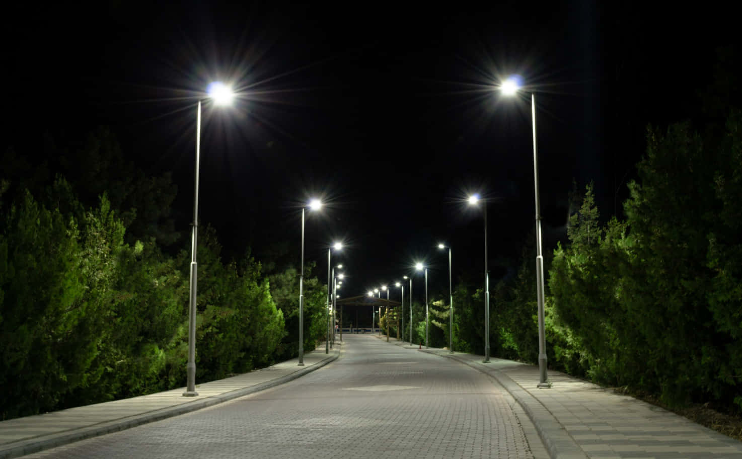Street 桌布 壁紙 — 一條寧靜的夜間小徑，兩旁有明亮的街燈，在鋪砌的人行道上投射出星芒般的光芒，兩側是茂密的綠樹。