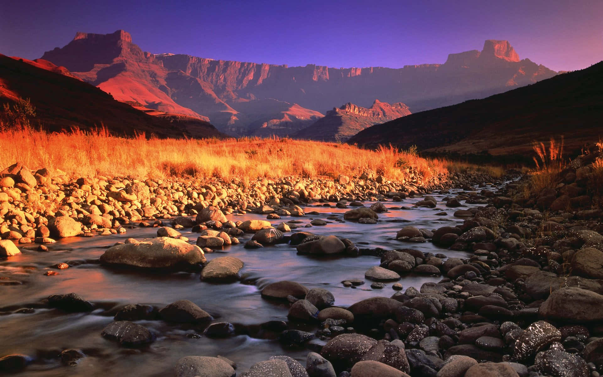South Africa 桌布 壁紙 — 一條寧靜的山間溪流在日落時分流過光滑的石頭，伴隨著金色的草和紫色的天空。