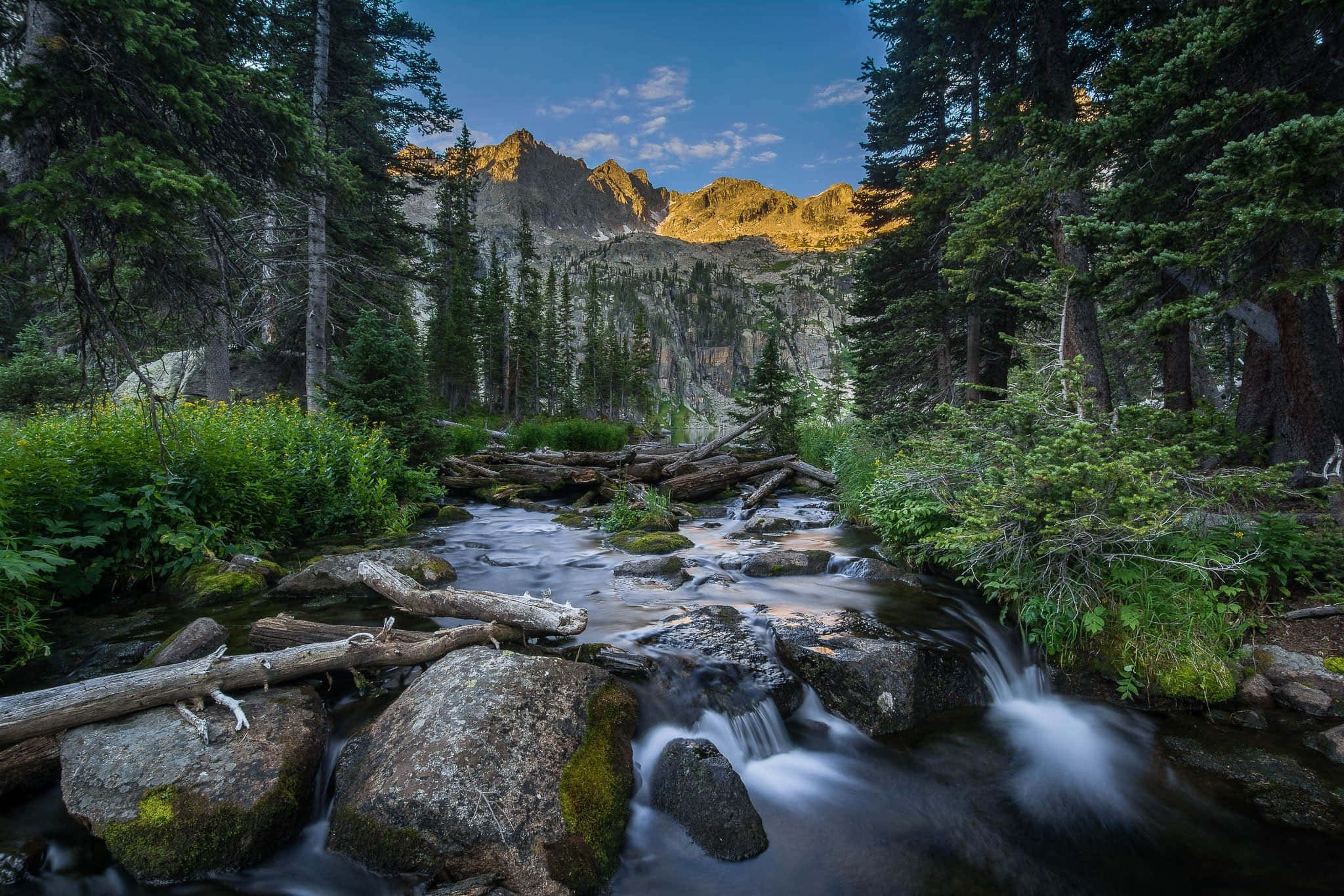 Colorado 桌布 壁紙 — 一條寧靜的山間溪流流過長滿青苔的岩石，穿過茂密的松樹林，正值黃金時段。
