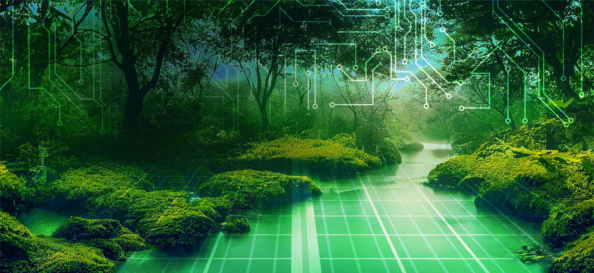 Green Forest 桌布 壁紙 — 一條寧靜的森林溪流在發光的綠色電路板圖案下流淌，這些圖案覆蓋在樹木和水面上。