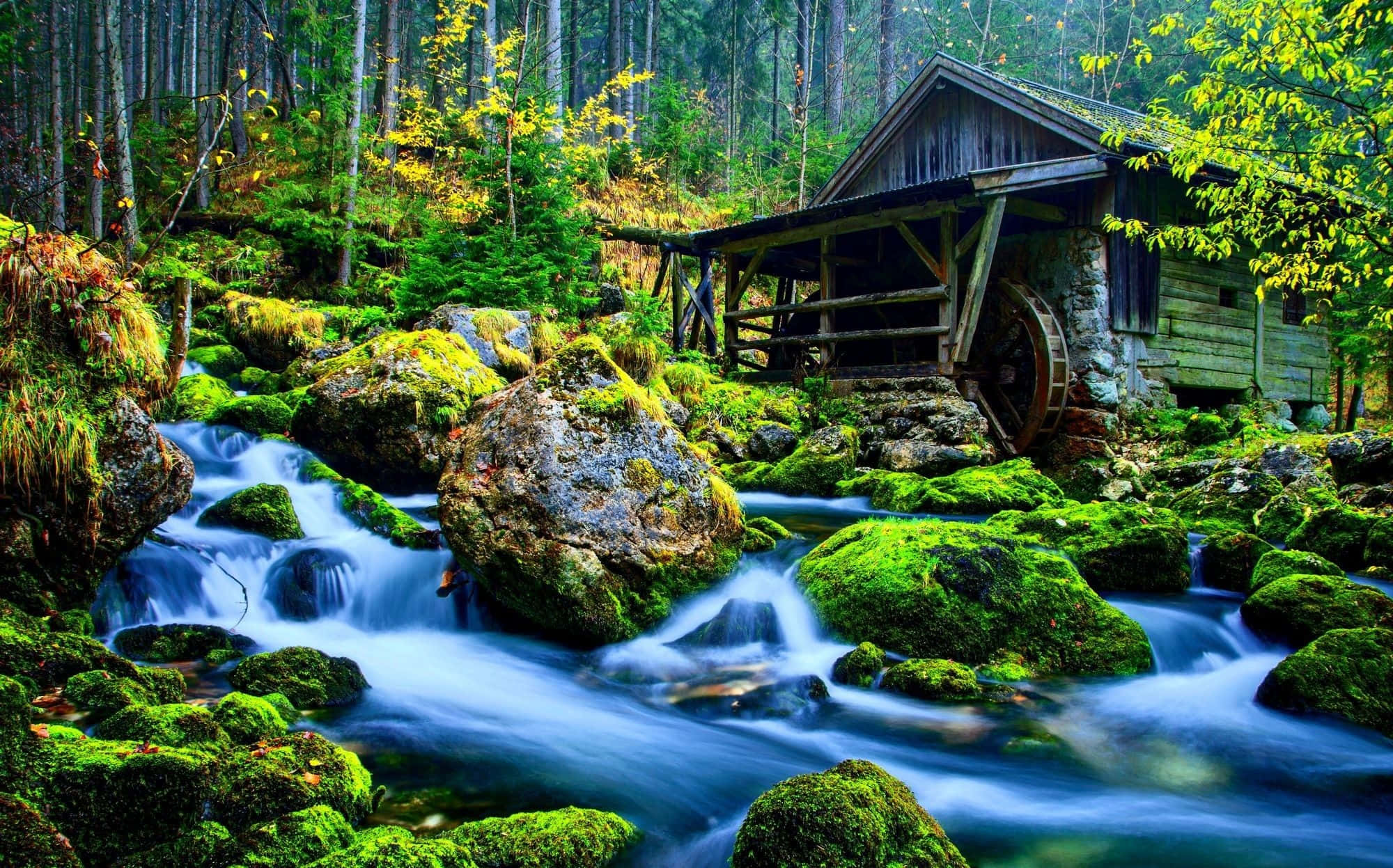 Nature Scenery 桌布 壁紙 — 一條寧靜的森林溪流流過長滿苔蘚的岩石，旁邊是一座帶有大水輪的質樸木製水車。