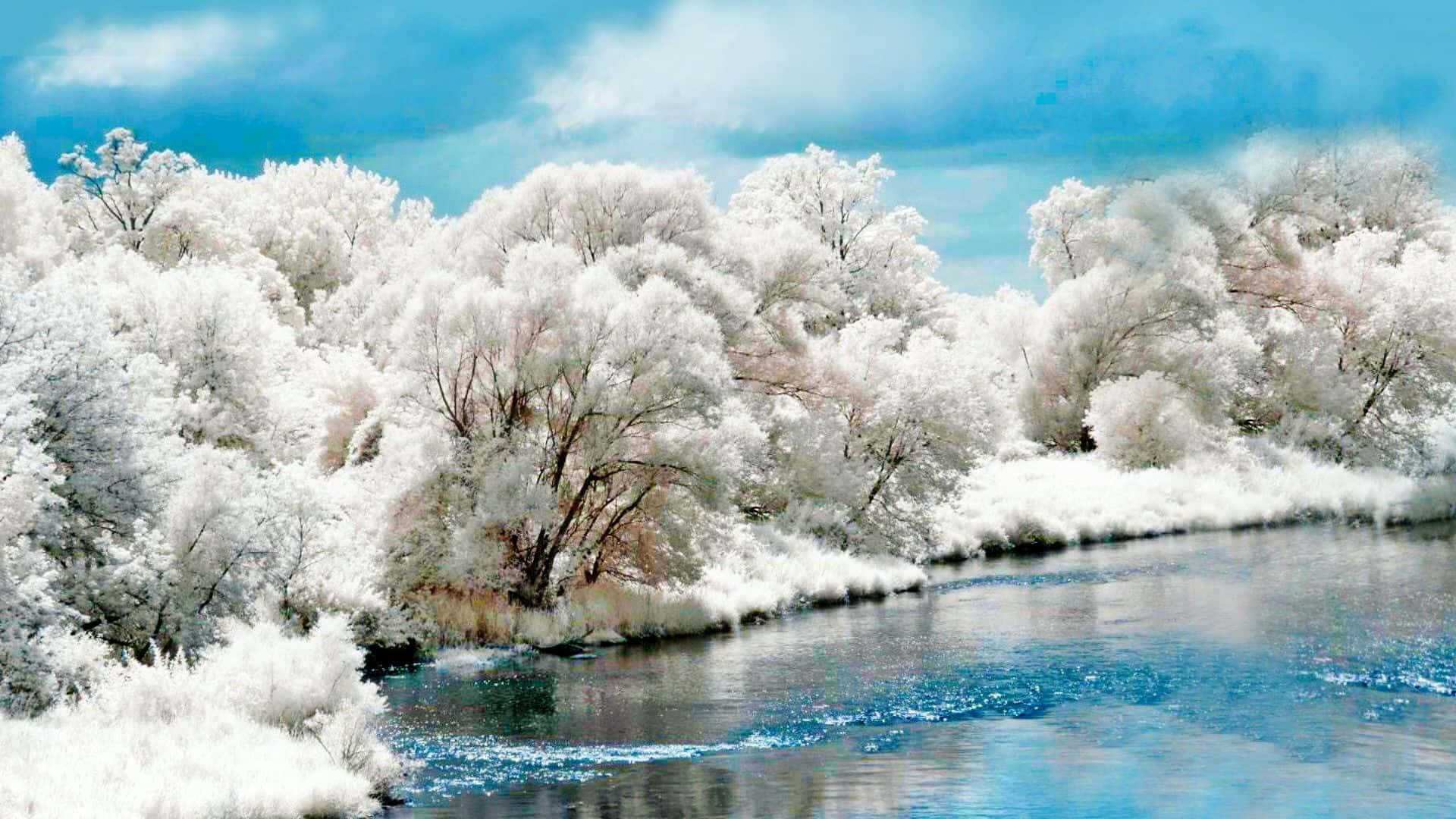冬天桌面 桌布 壁紙 — 一條寧靜的河流流過白雪覆蓋的樹木，天空湛藍，雲朵蓬鬆。