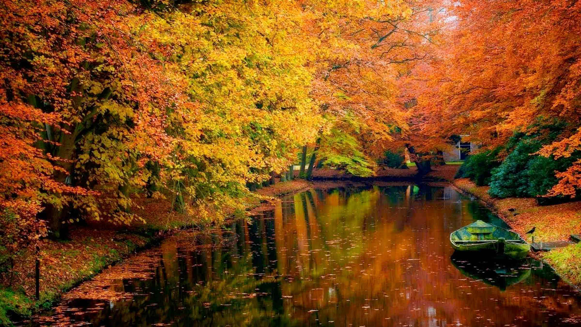 High Resolution Fall 桌布 壁紙 — 一條寧靜的秋季運河，兩旁是火紅橙和金色的樹木，倒映在平靜的水面上，有一艘孤獨的小船停泊。