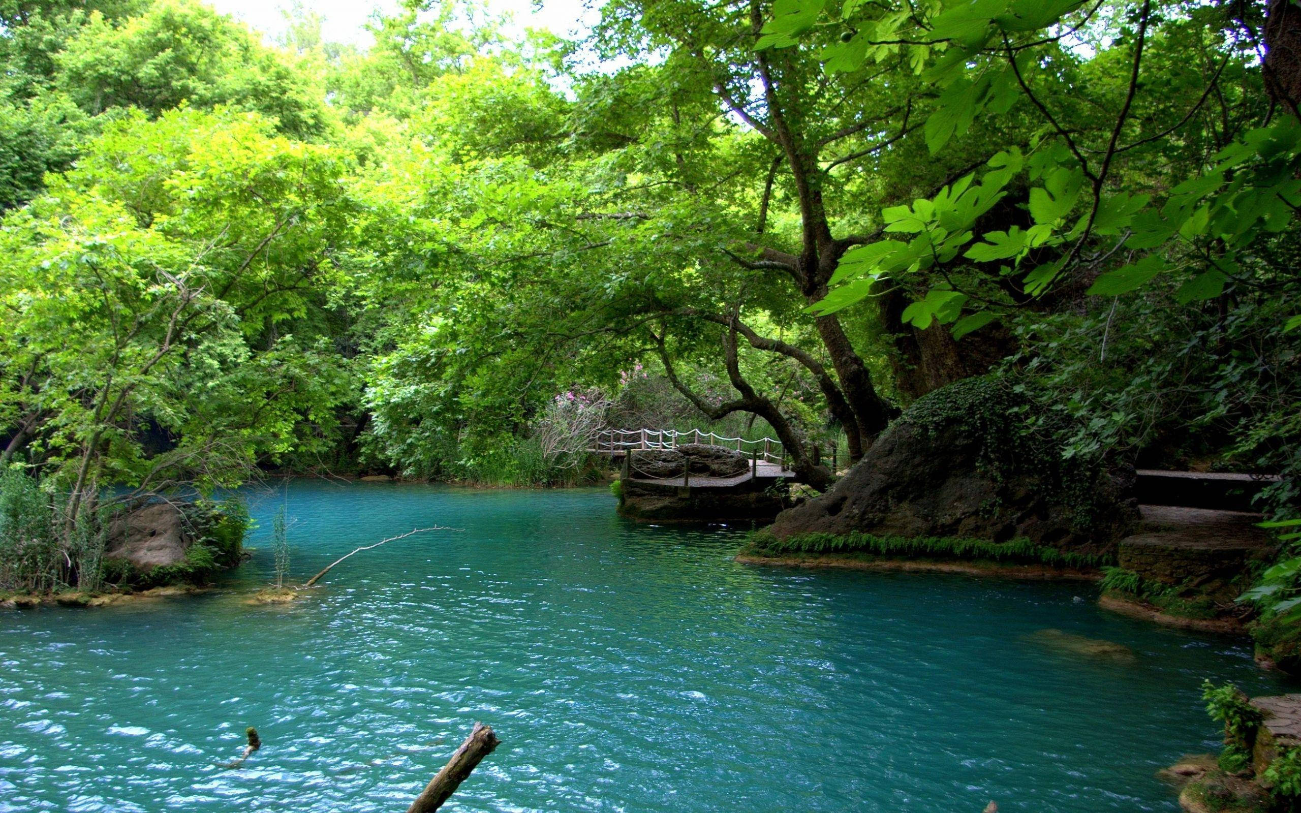 Beautiful Nature Photography 桌布 壁紙 — 一條寧靜的藍綠色河流流經茂密的綠色森林，一座木橋拱起在水面上。