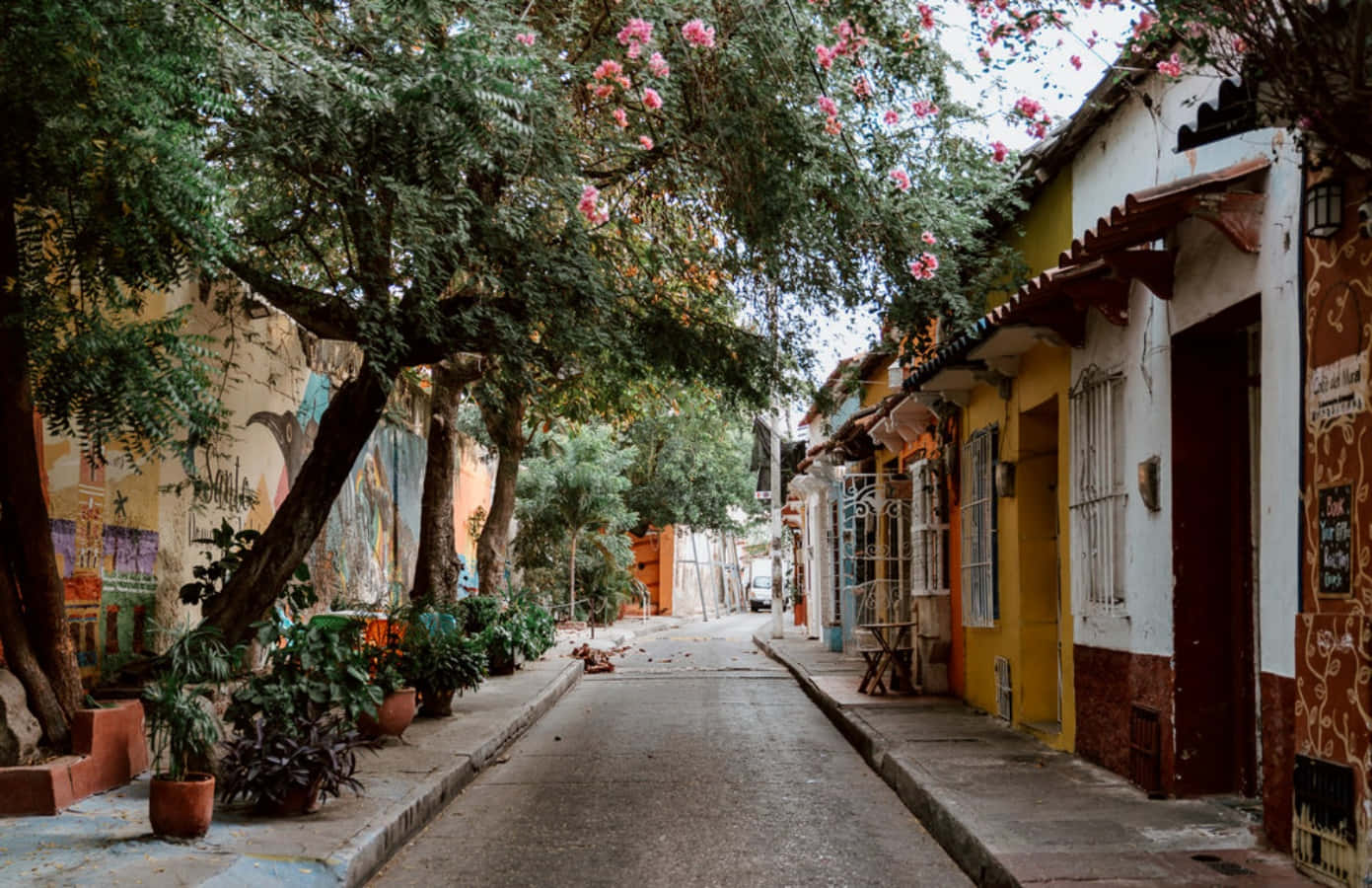 Colombia 桌布 壁紙 — 一條寧靜的鵝卵石街道，兩旁是色彩繽紛的殖民時期建築，頭頂上盛開著粉紅色的樹木。