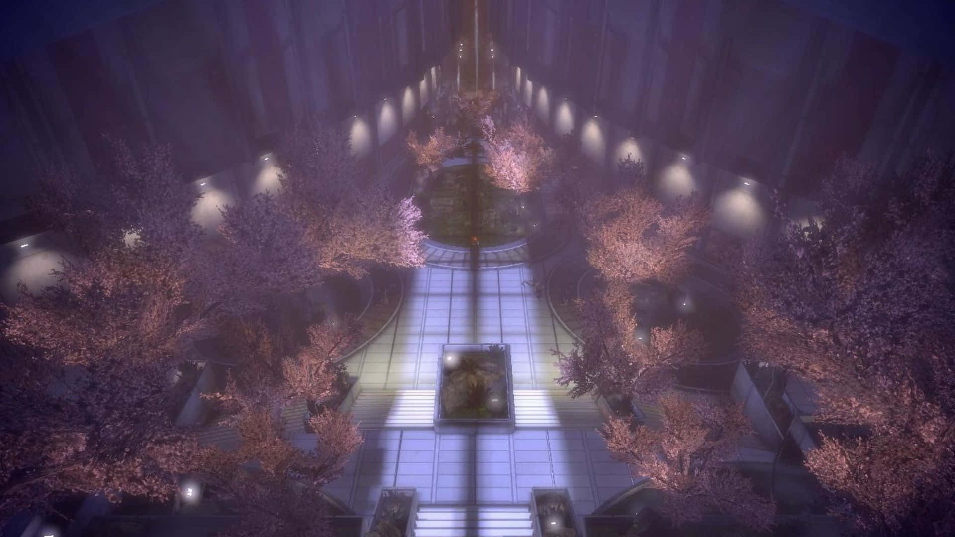 Mass Effect Citadel 桌布 壁紙 — 一條對稱的小徑，兩旁種滿了在迷濛暮色天空下閃閃發光的櫻花樹。