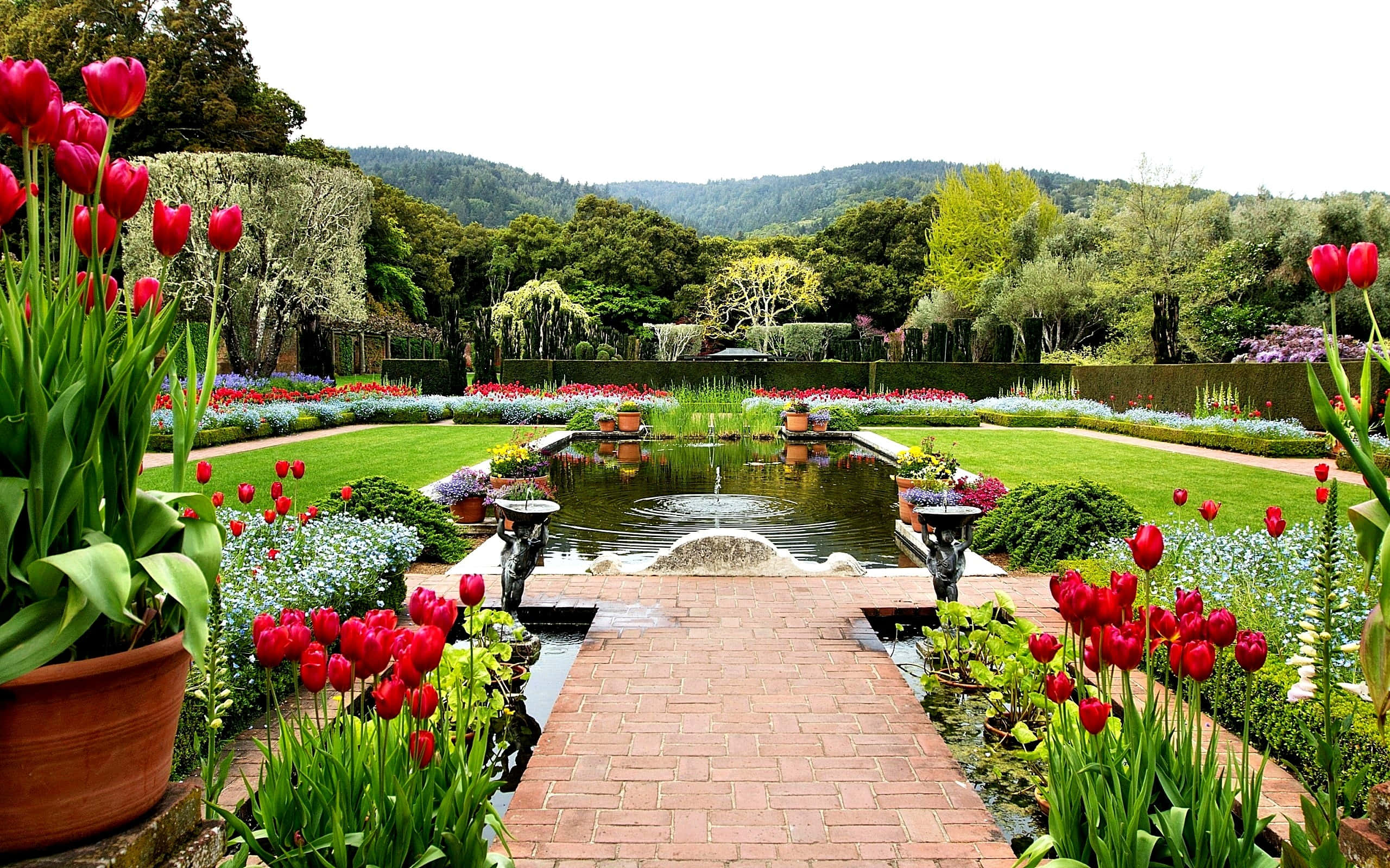 Garden Photography 桌布 壁紙 — 一條對稱的花園小徑，兩旁種滿鮮紅色的鬱金香，通往一個寧靜的池塘，周圍是修剪整齊的草坪和遠處的森林山丘。