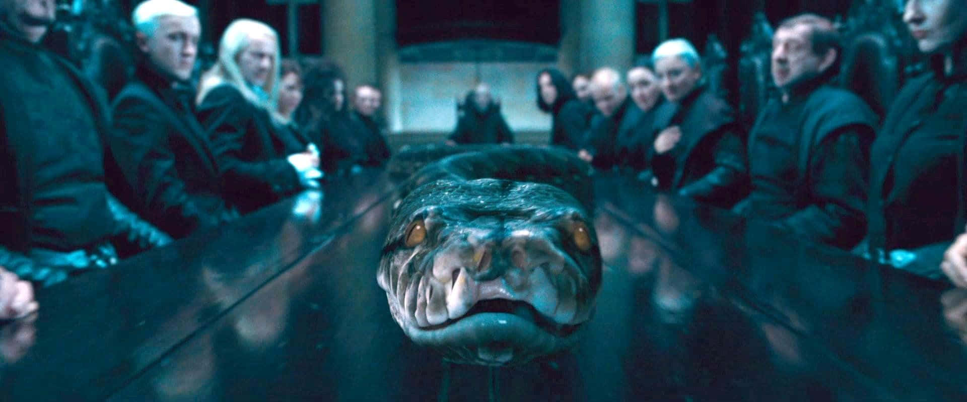 Harry Potter Serpent 桌布 壁紙 — 一條帶有發光眼睛的威脅性蛇，在昏暗的房間裡直視前方一張被暗色長袍人物包圍的長桌。