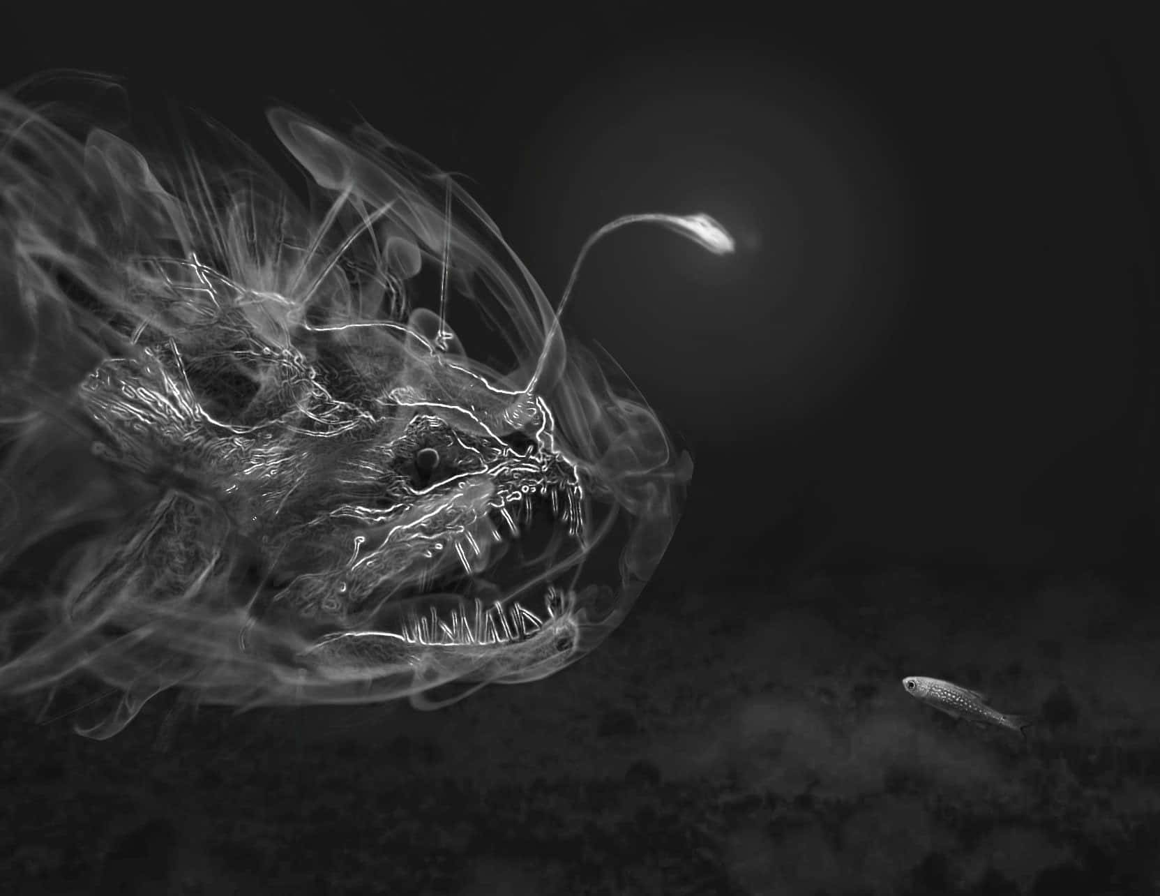 Unsettling 桌布 壁紙 — 一條帶有發光誘餌和尖銳牙齒的威脅性鮟鱇魚，在深海黑暗中籠罩著一條小魚。