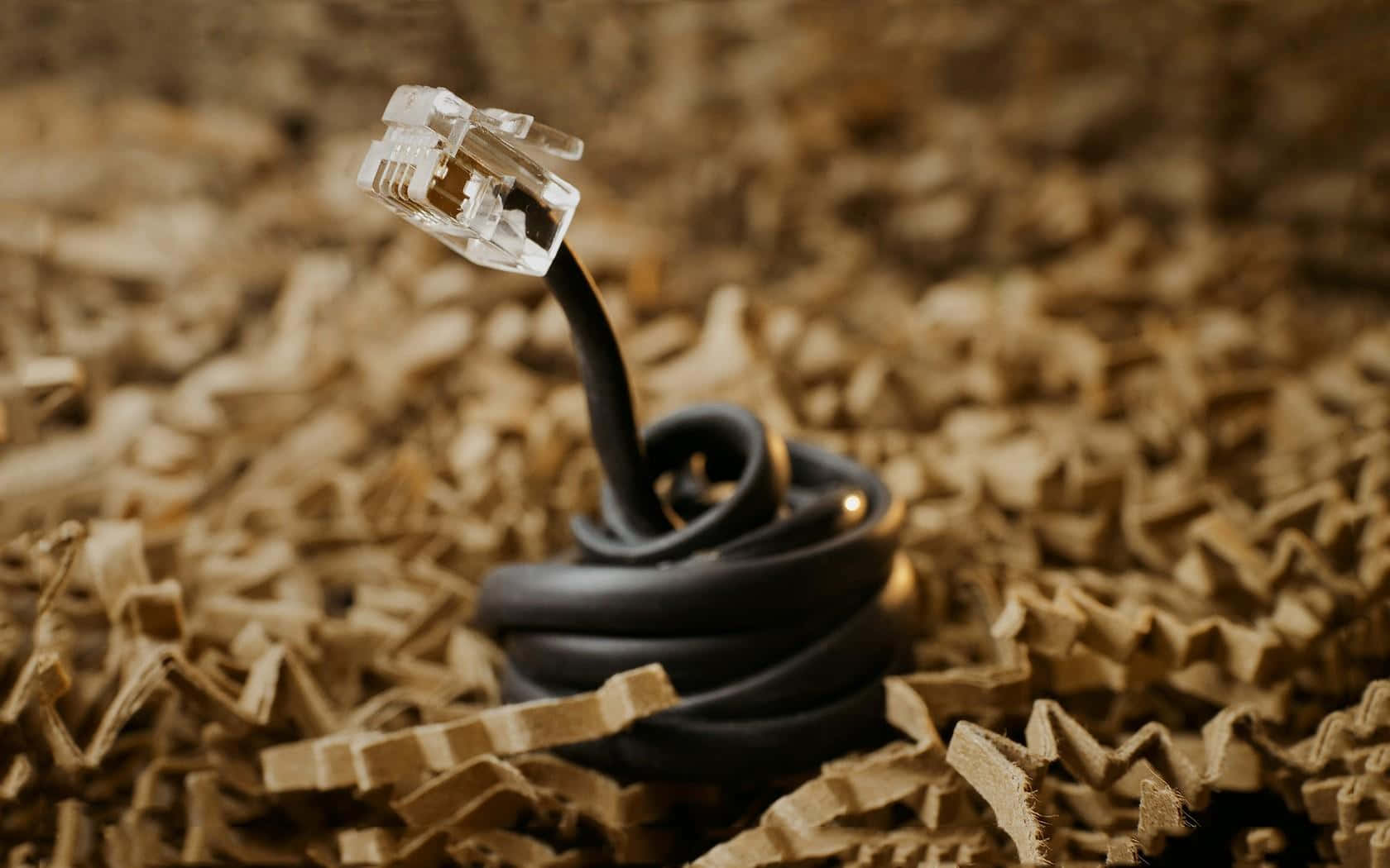 Ethernet 桌布 壁紙 — 一條帶有透明連接器的黑色捲曲以太網電纜從碎棕色紙包裝中露出。