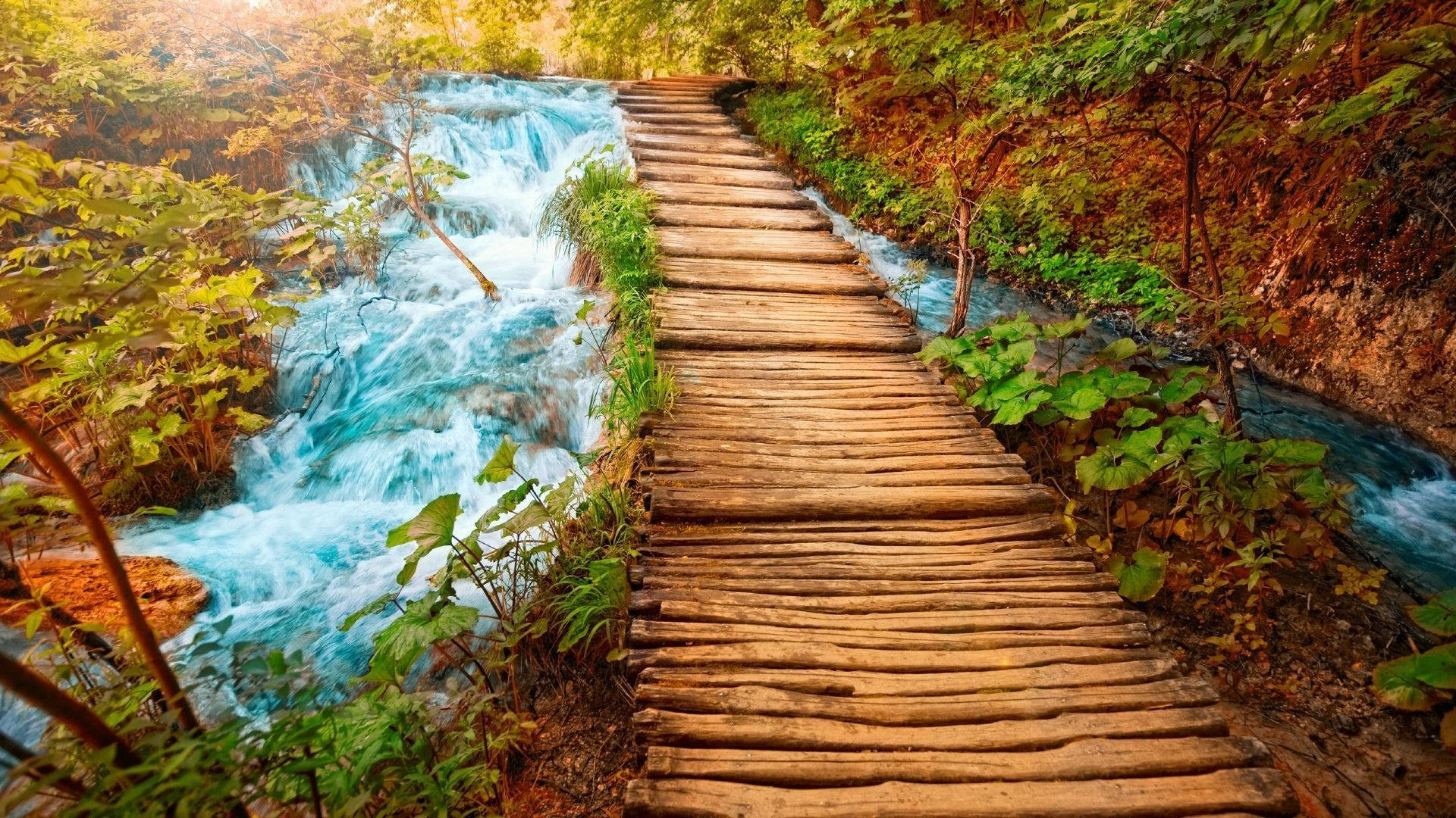 Fall Season 桌布 壁紙 — 一條木製棧道蜿蜒穿過充滿活力的綠色樹葉，沿著層疊的綠松石瀑布。