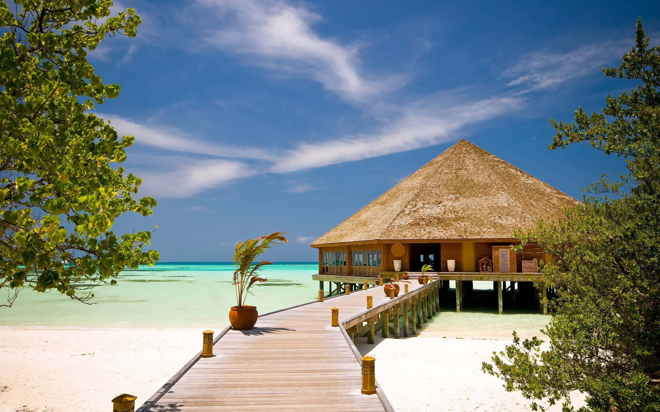 Beach Resort 桌布 壁紙 — 一條木製棧道通往一座茅草屋頂的水上平房，坐落於純淨的白色沙灘上，四周是碧綠的海水和茂密的綠樹，頭頂是明亮的藍天。