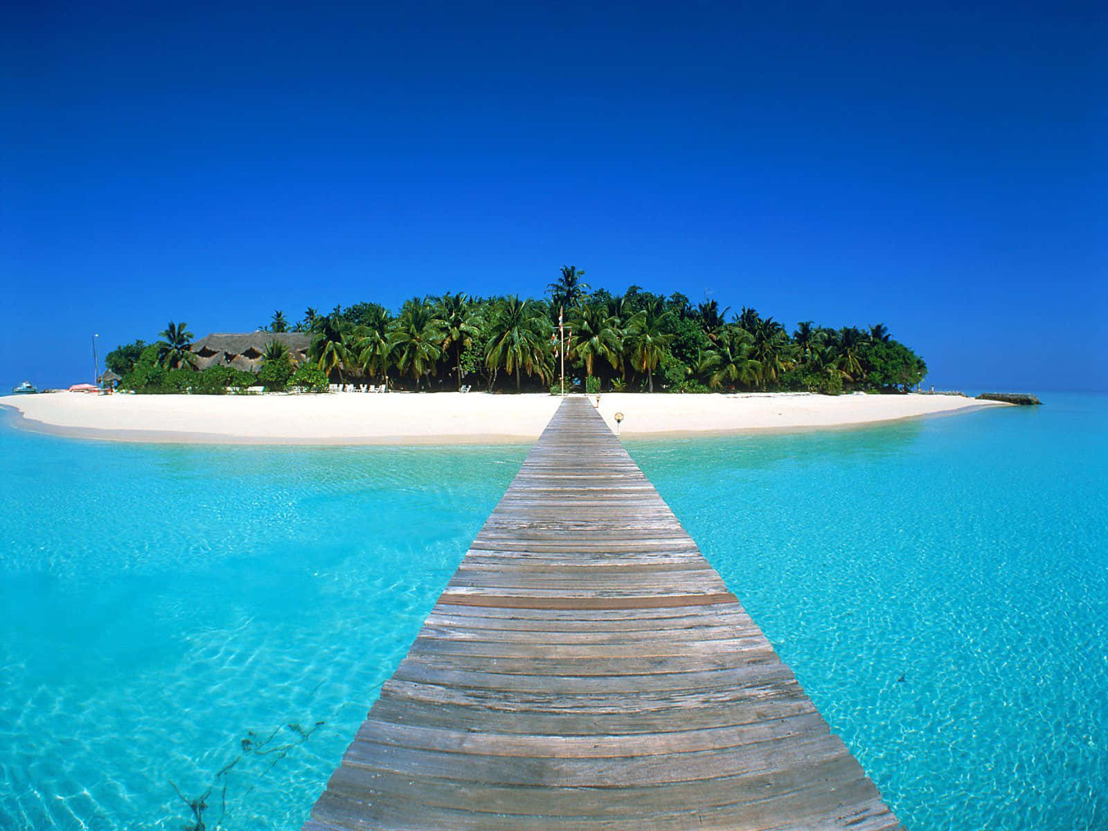 Maldives Beach 桌布 壁紙 — 一條木製碼頭延伸向一個熱帶島嶼，島上有白色沙灘棕櫚樹和碧綠色的海水，在清澈的藍天下。