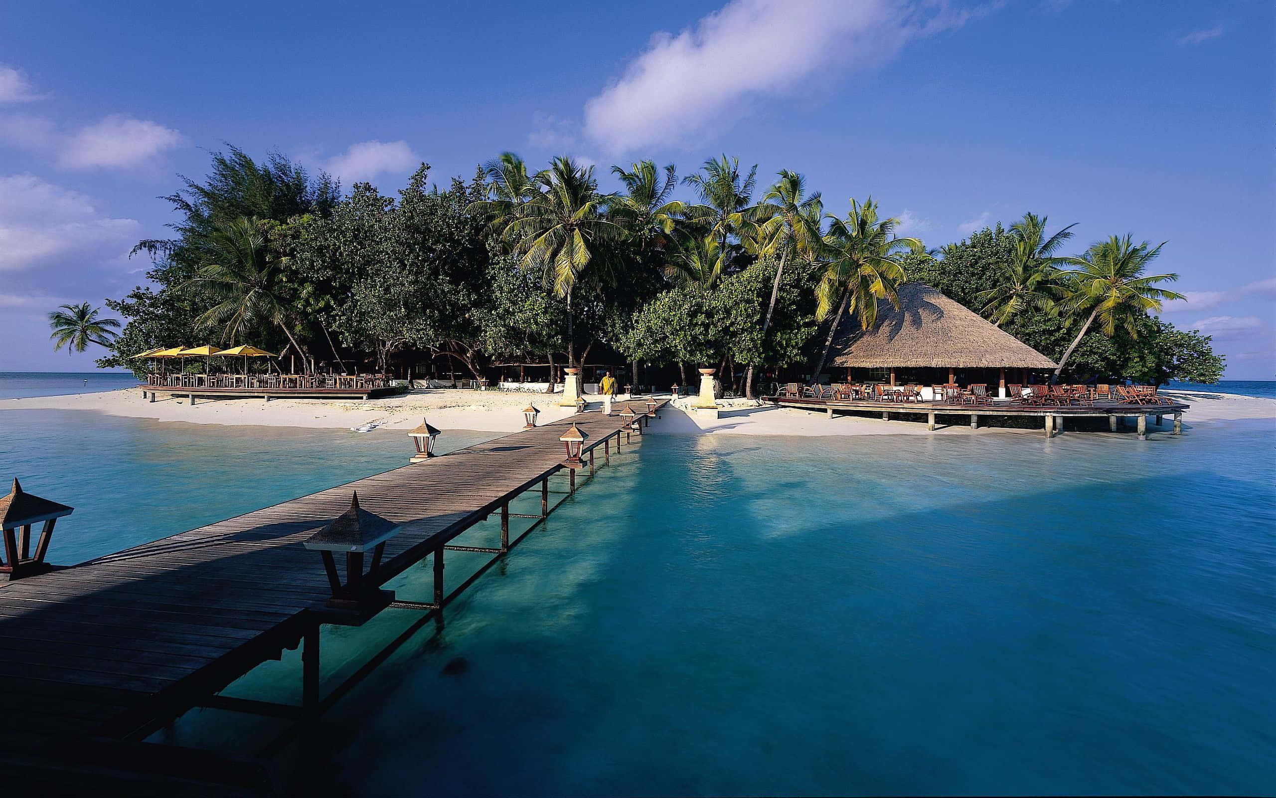 Maldives Beach 桌布 壁紙 — 一條木製碼頭延伸過碧綠色的海水，通往一個有棕櫚樹和茅草屋頂小屋的熱帶島嶼，在明亮的藍天下。