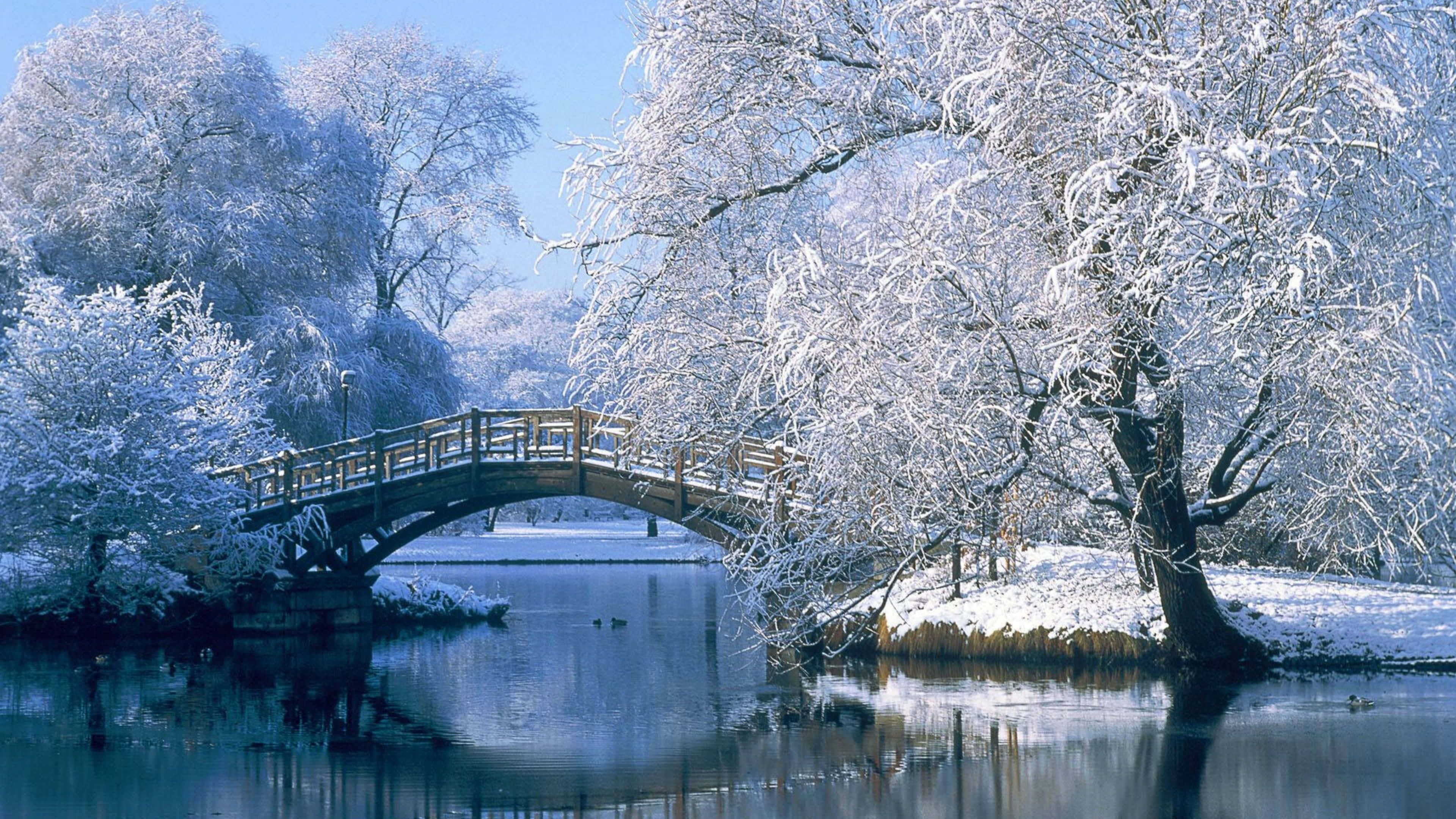一條橫跨結冰河流的橋樑，兩旁樹木被白雪覆蓋 壁紙