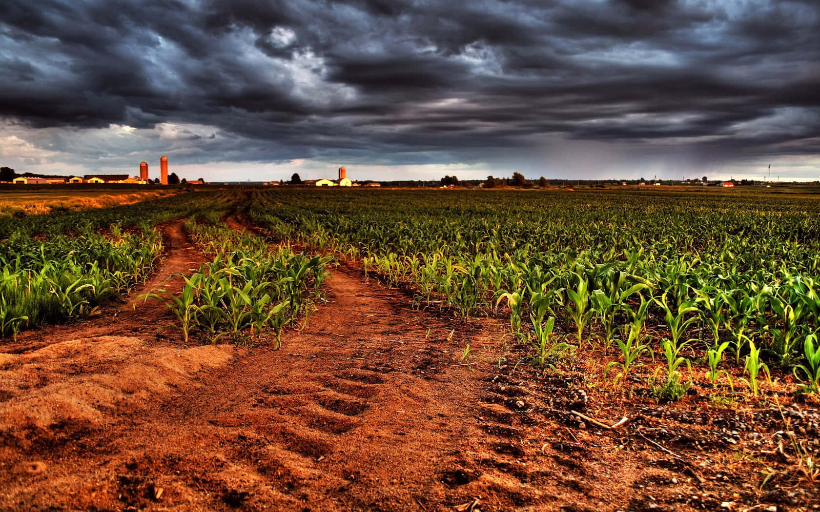 Agriculture 桌布 壁紙 — 一條泥路蜿蜒穿過充滿活力的綠色玉米田，頭上是戲劇性的暴風雨天空，遠處有農場筒倉。