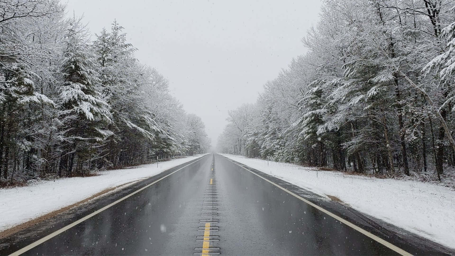 Winter Forest 桌布 壁紙 — 一條濕漉漉的瀝青路延伸至白雪覆蓋的森林，天空灰濛，雪花飄落。