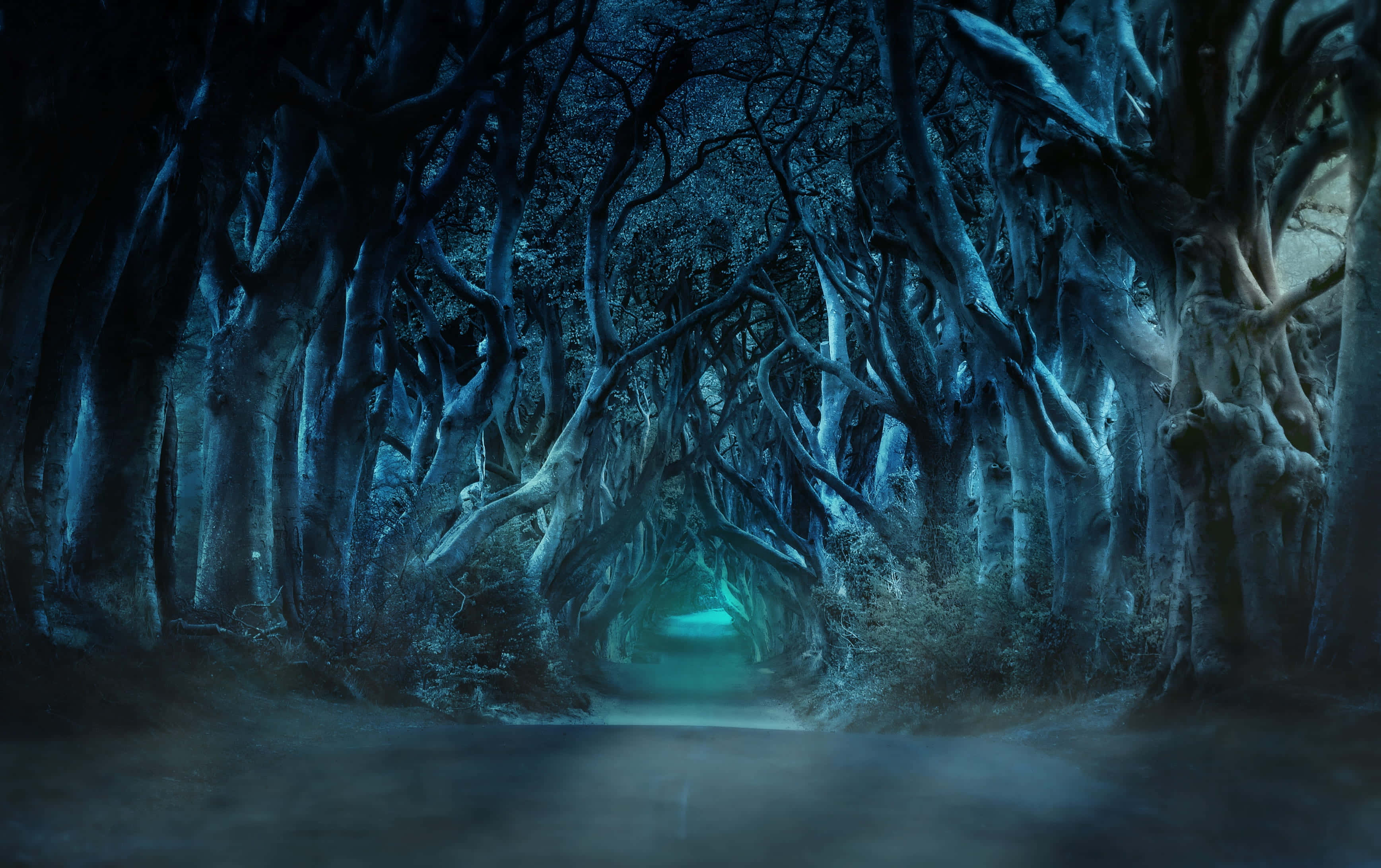 Dark Road 桌布 壁紙 — 一條由扭曲古樹形成的詭異藍光隧道，拱形籠罩在一條霧濛濛的小徑上，通往前方閃爍的綠光。
