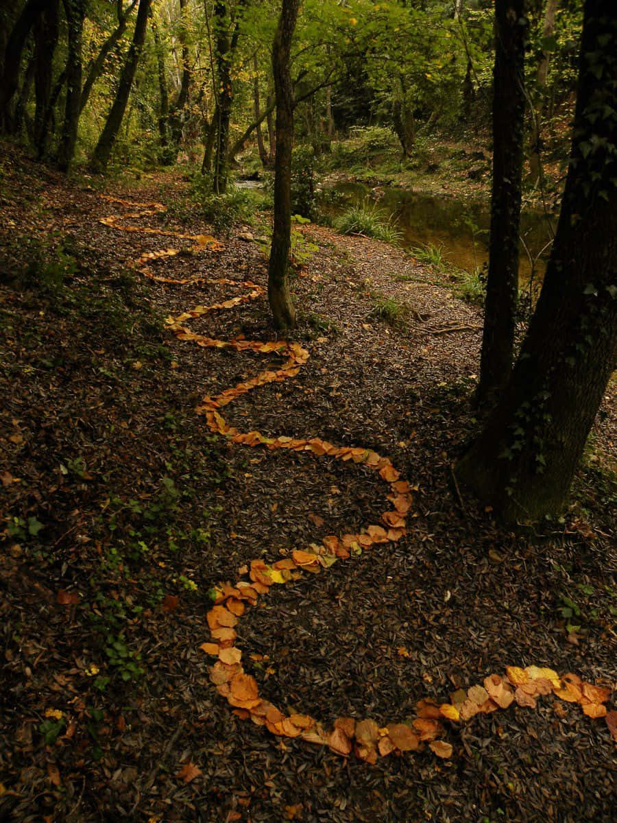 Land Art 桌布 壁紙 — 一條由金色秋葉鋪成的蜿蜒小徑，穿過寧靜溪流旁的茂密森林。