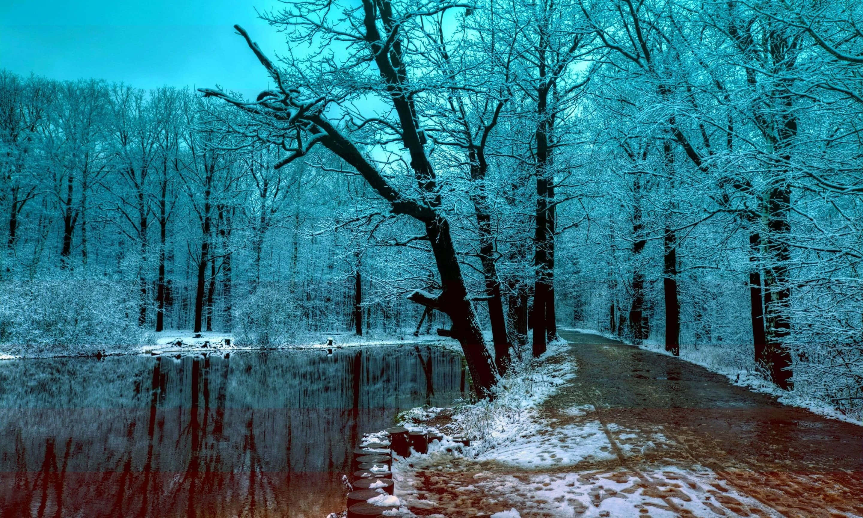 Winter Trees 桌布 壁紙 — 一條白雪覆蓋的森林小徑蜿蜒在一條平靜的河流旁，河流在青色天空下倒映著光禿的樹木。