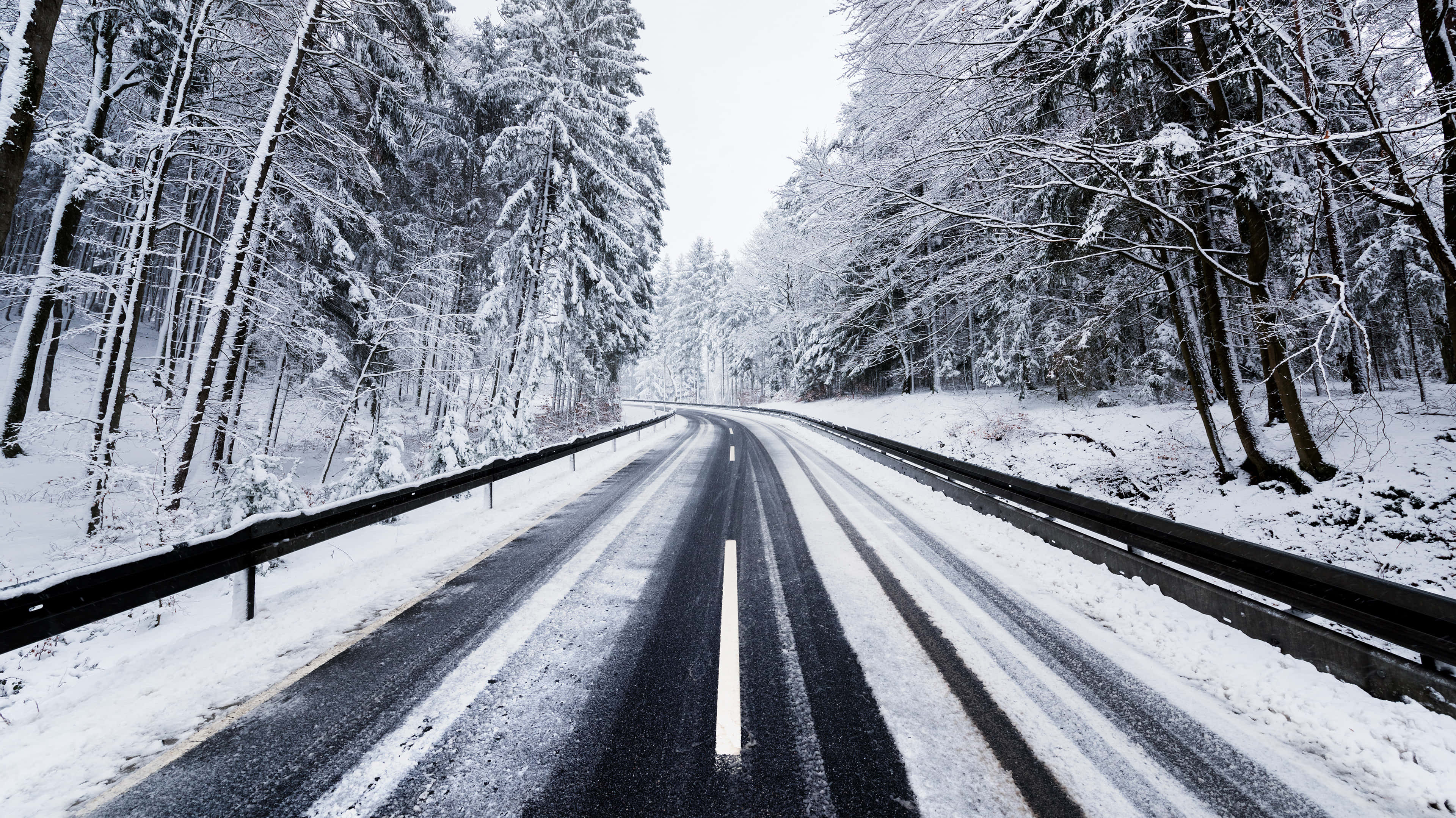 道路 桌布 壁紙 — 一條白雪覆蓋的道路蜿蜒穿過茂密的冬季森林，高大的常綠樹披上了白色。