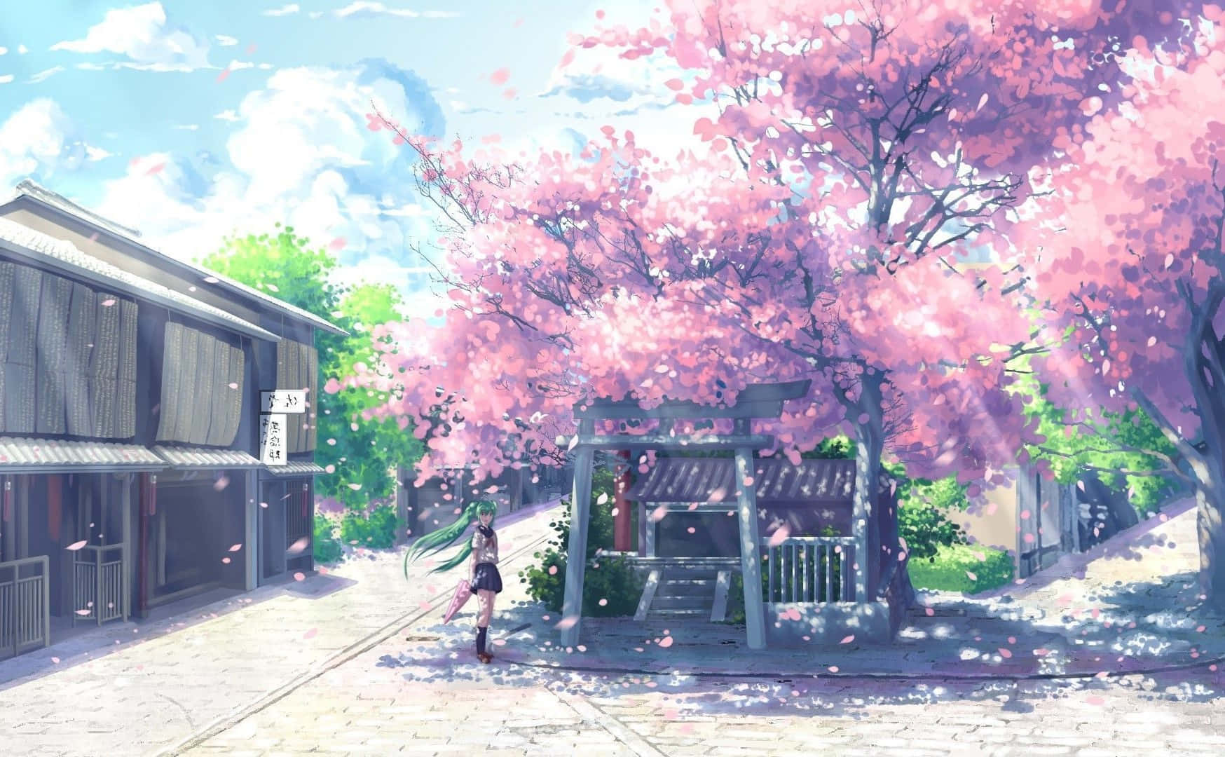一條種滿粉紅花樹的街道與一間房屋 壁紙
