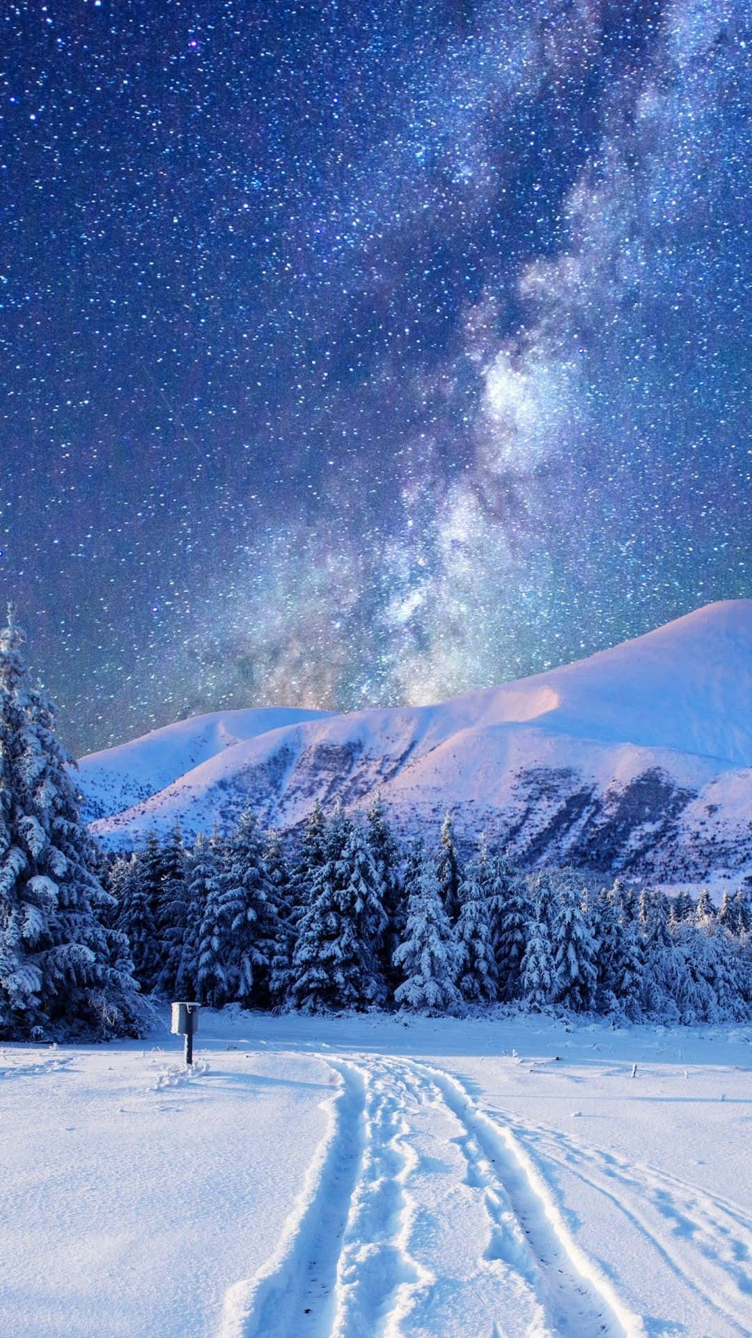 Winter Blues 桌布 壁紙 — 一條積雪的山路蜿蜒穿過松樹林，上方是燦爛的星空，銀河拱跨天際。