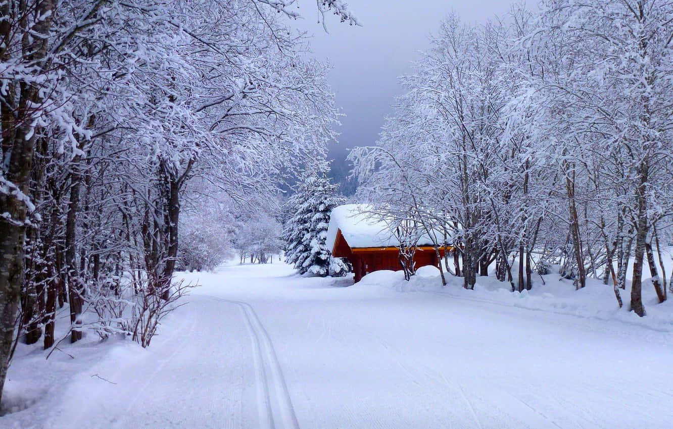 Snowy Road 桌布 壁紙 — 一條積雪的森林小徑通向一座紅色小屋，小屋坐落在積雪的樹木之間，上方是灰暗的冬日天空。