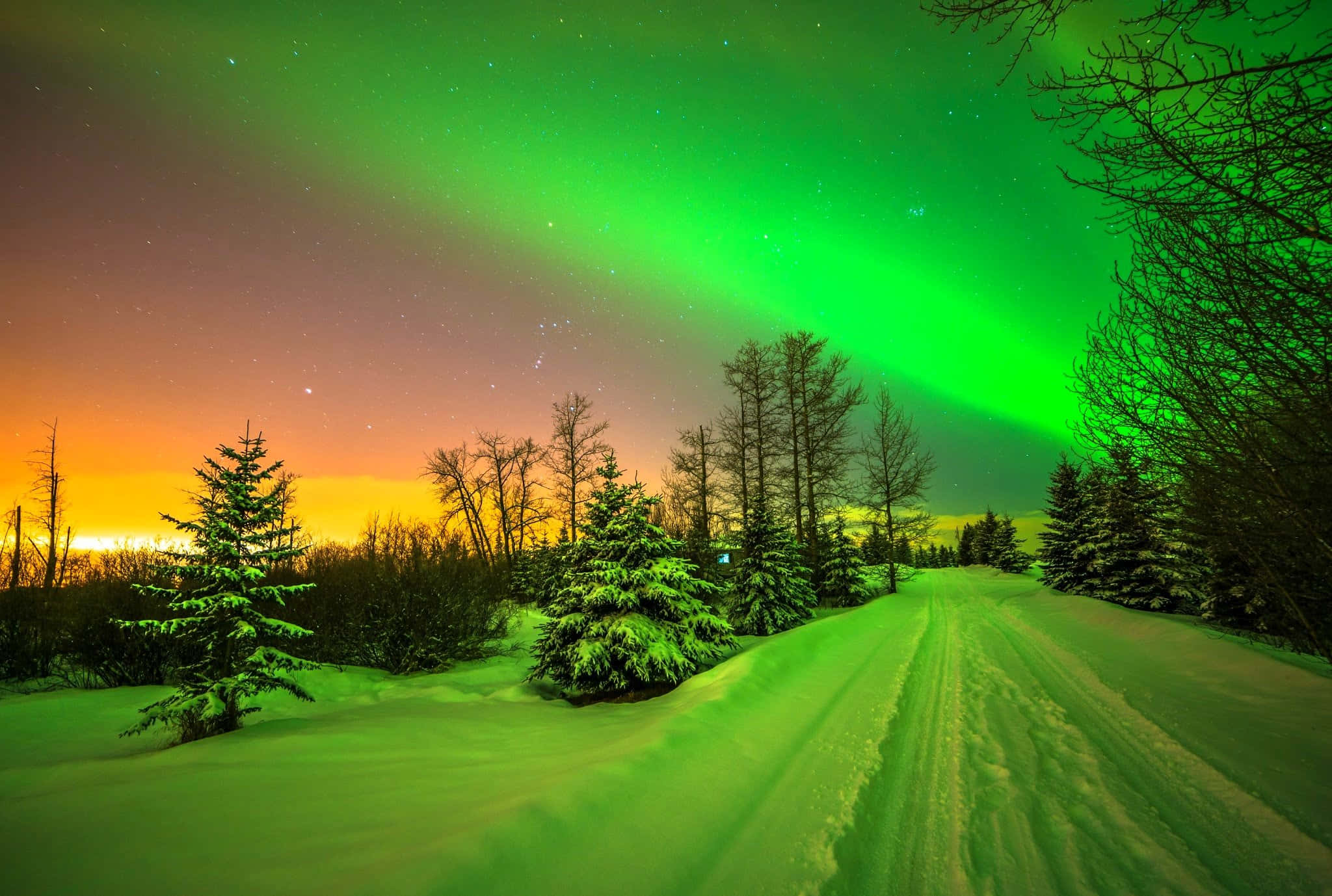 aurora borealis 桌布 壁紙 — 一條積雪的道路蜿蜒穿過森林，上方是生動的綠色北極光在繁星點點的暮色天空中舞動。